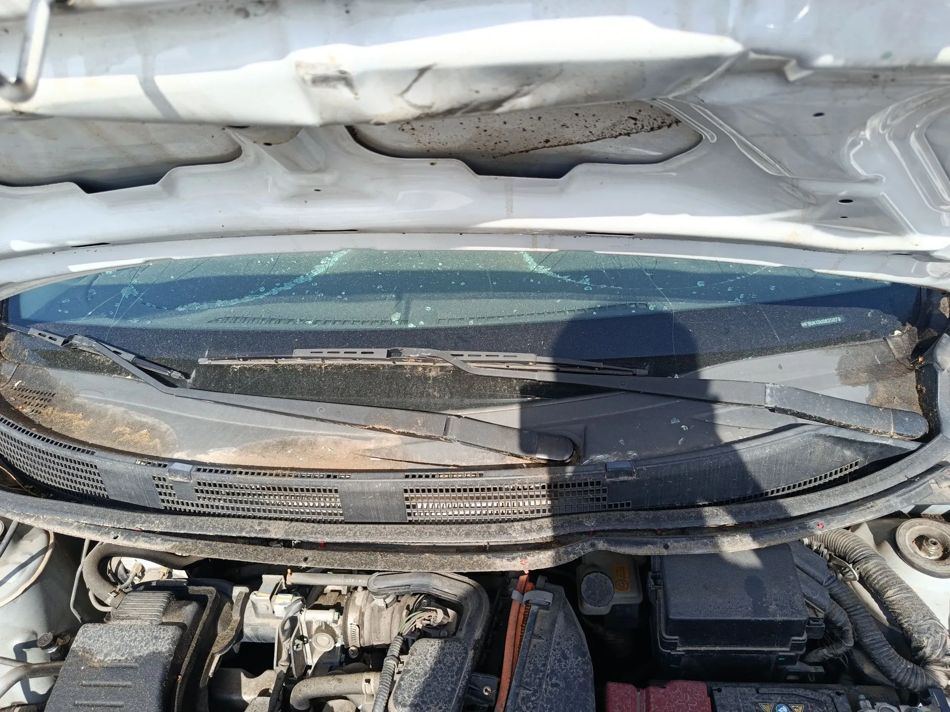 Motor Limpia Delantero para Nissan Micra Iv (K13K, K13Kk)