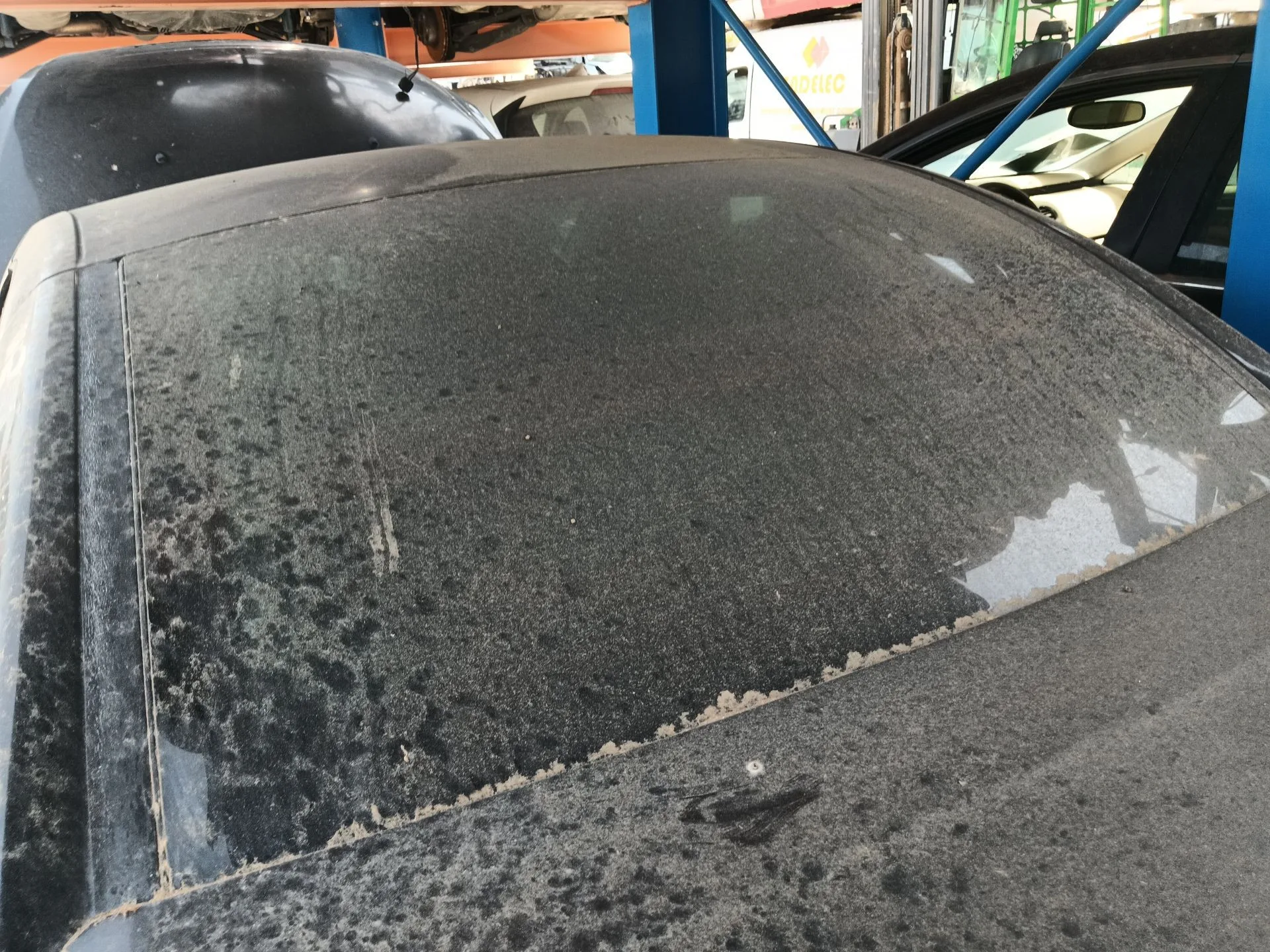 Luna Trasera para Peugeot 307 Cc (3B)