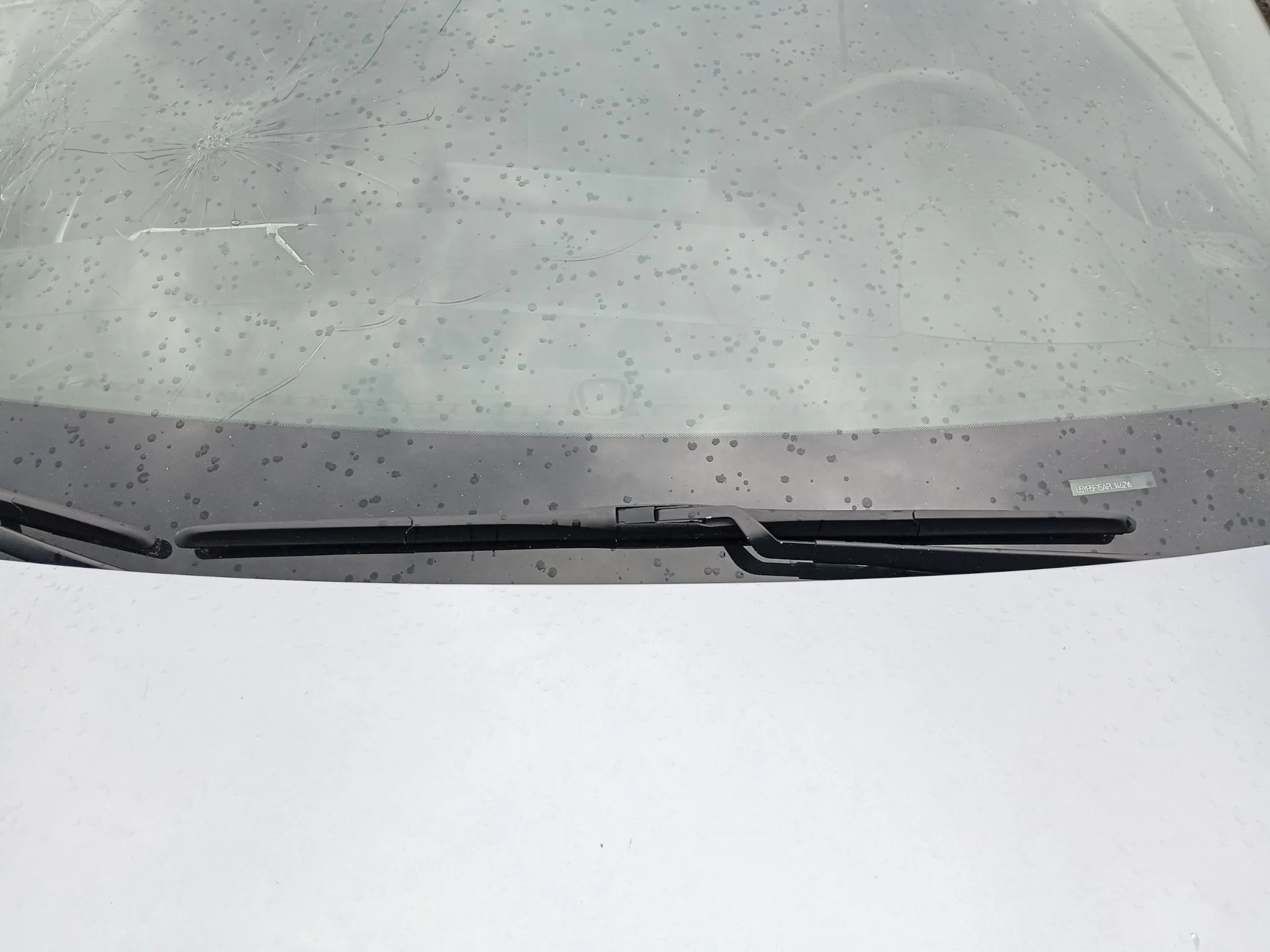 Brazo Limpia Delantero Izquierdo para Kia Xceed (Cd)