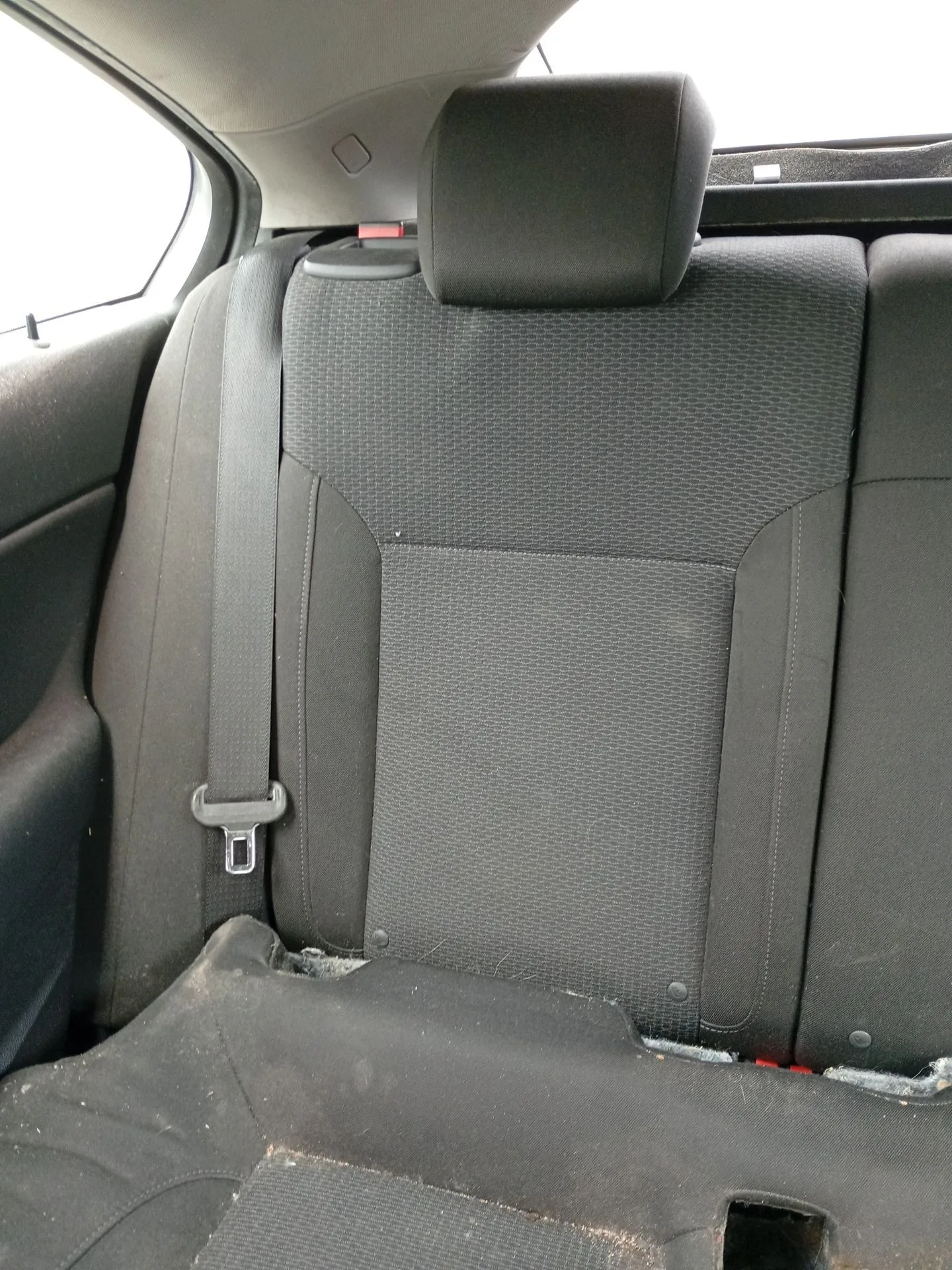 Cinturon Seguridad Trasero Derecho para Opel Insignia A (G09)