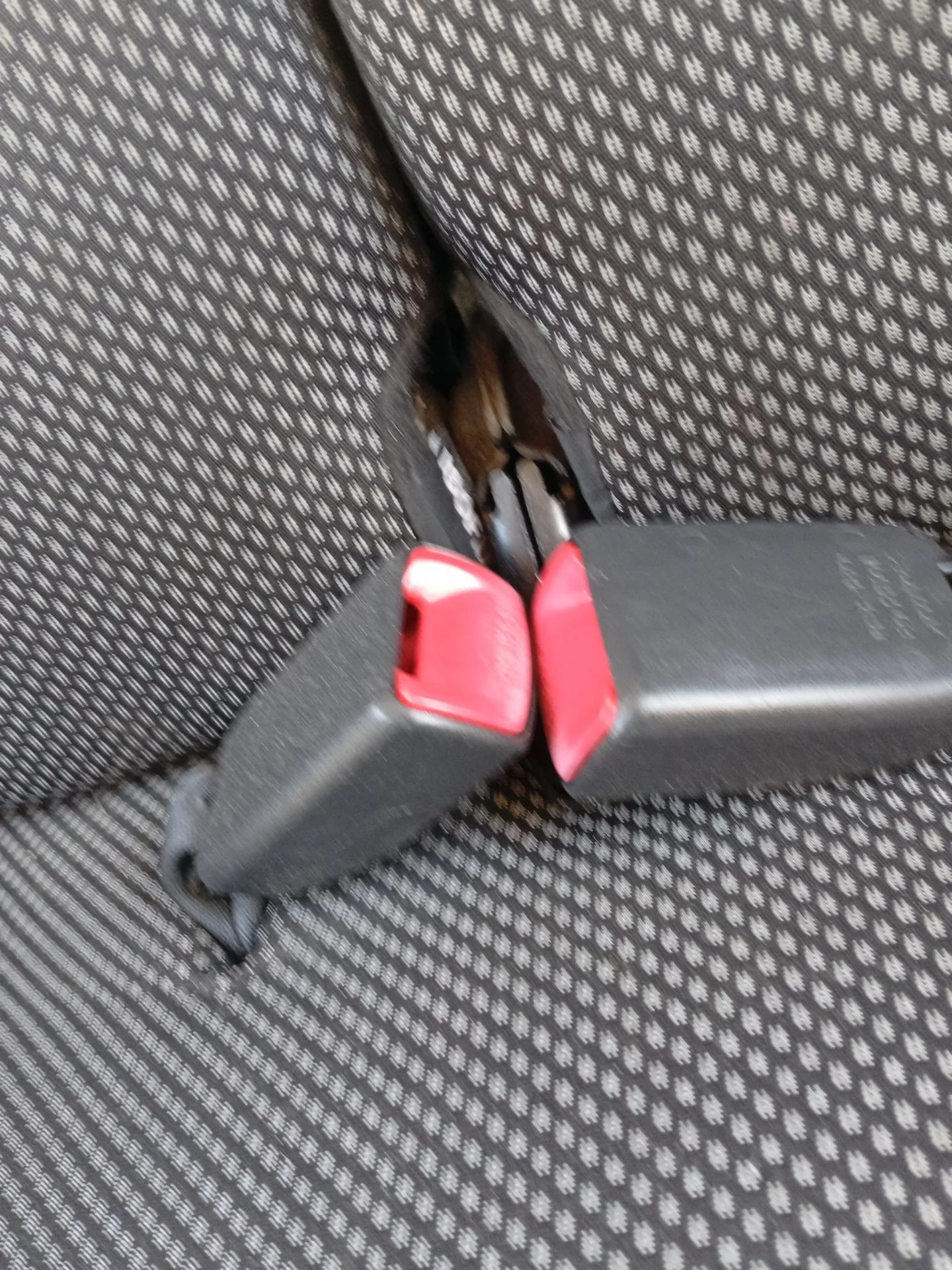 Enganche Cinturon Trasero Derecho para Toyota Aygo (_B1_)