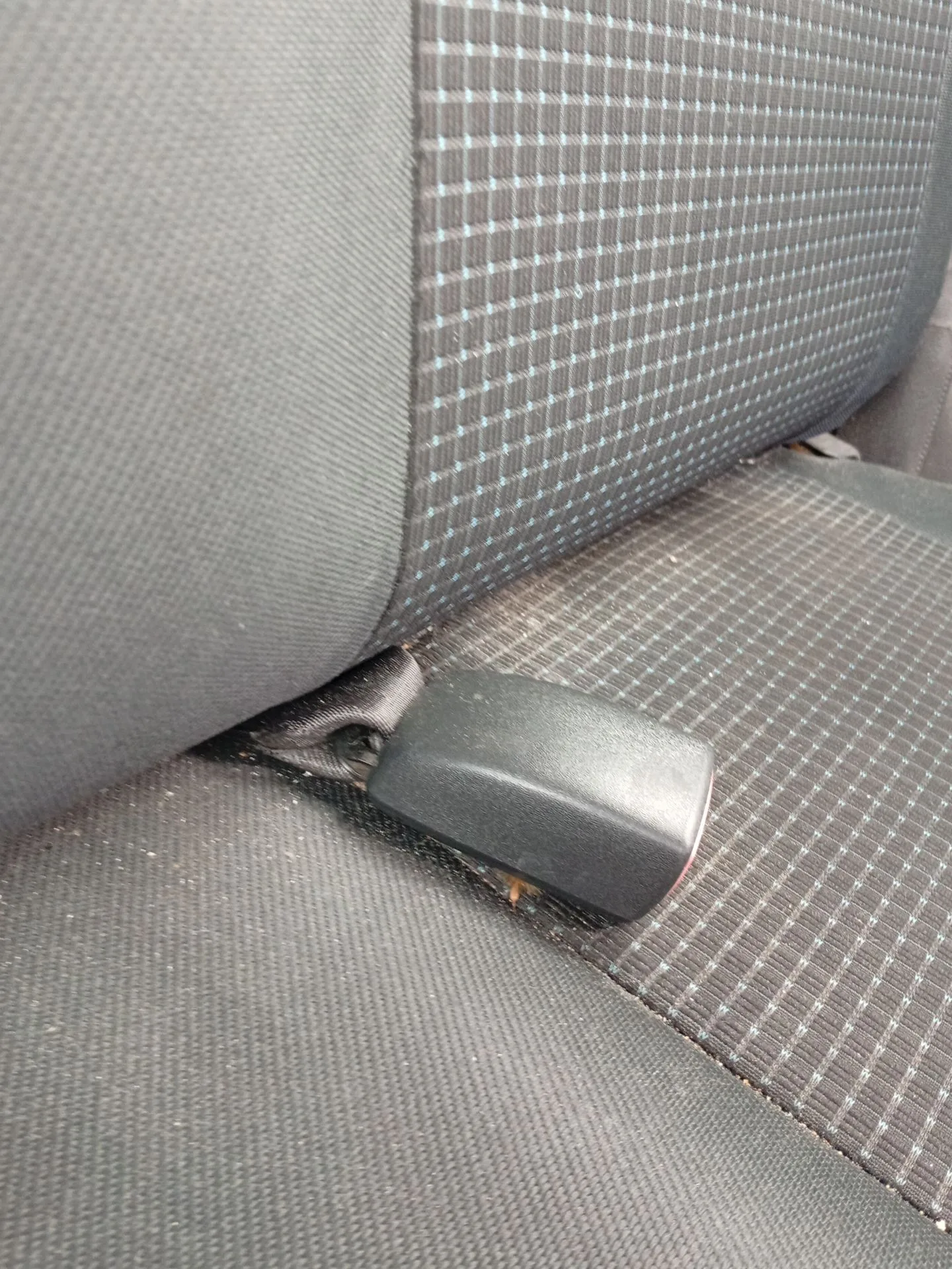 Enganche Cinturon Trasero Izquierdo para Suzuki Swift Iii (Mz, Ez)