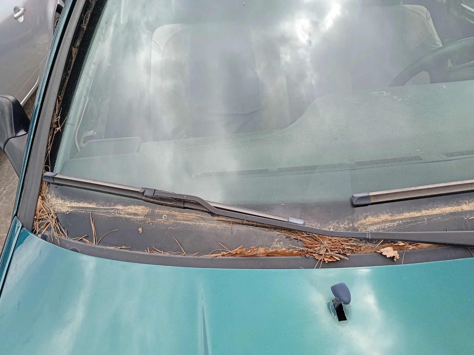 Brazo Limpia Delantero Derecho para Volkswagen Golf Iii (1H1)
