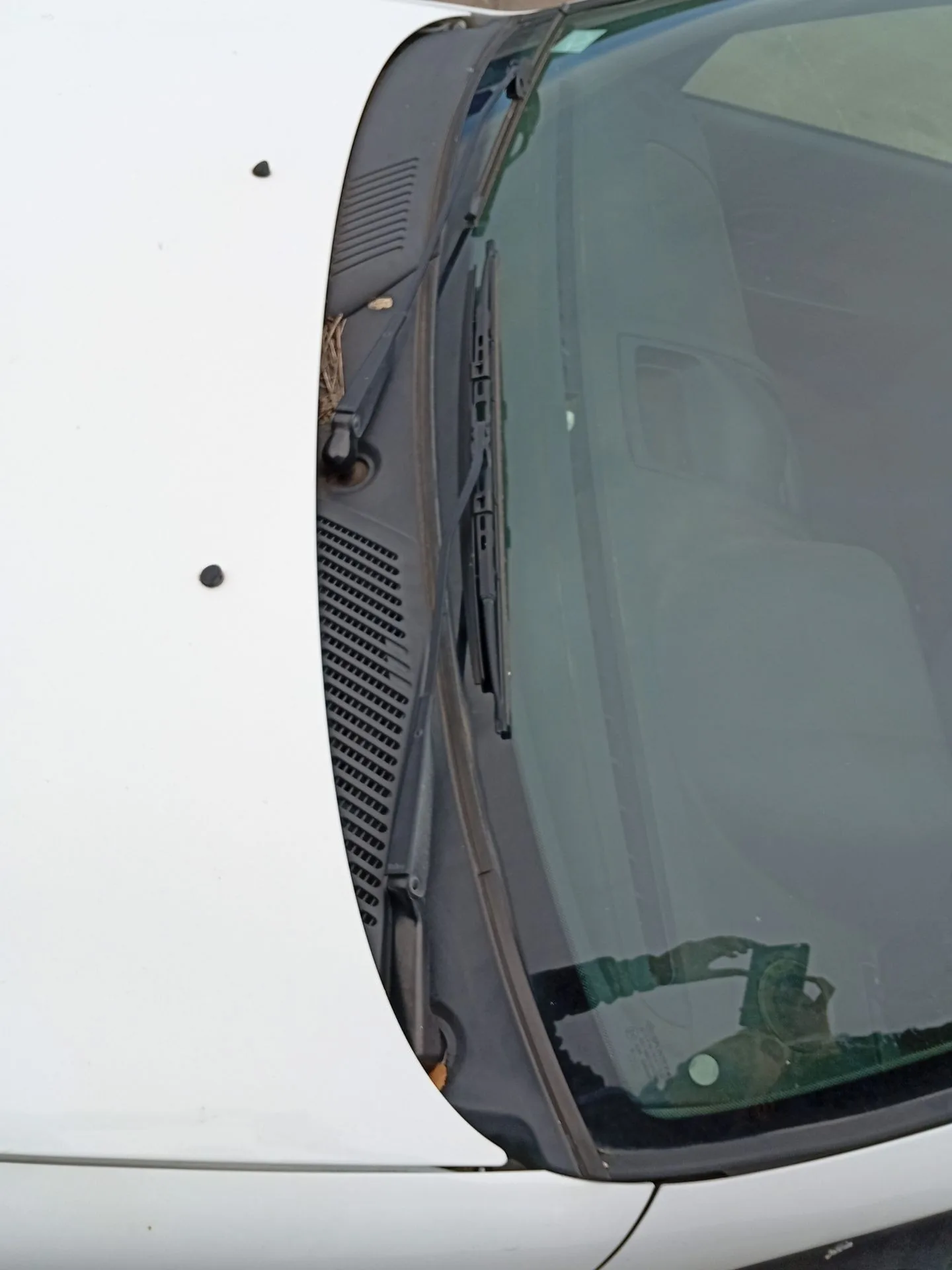 Torpedo para Renault Clio Ii (Bb_, Cb_)