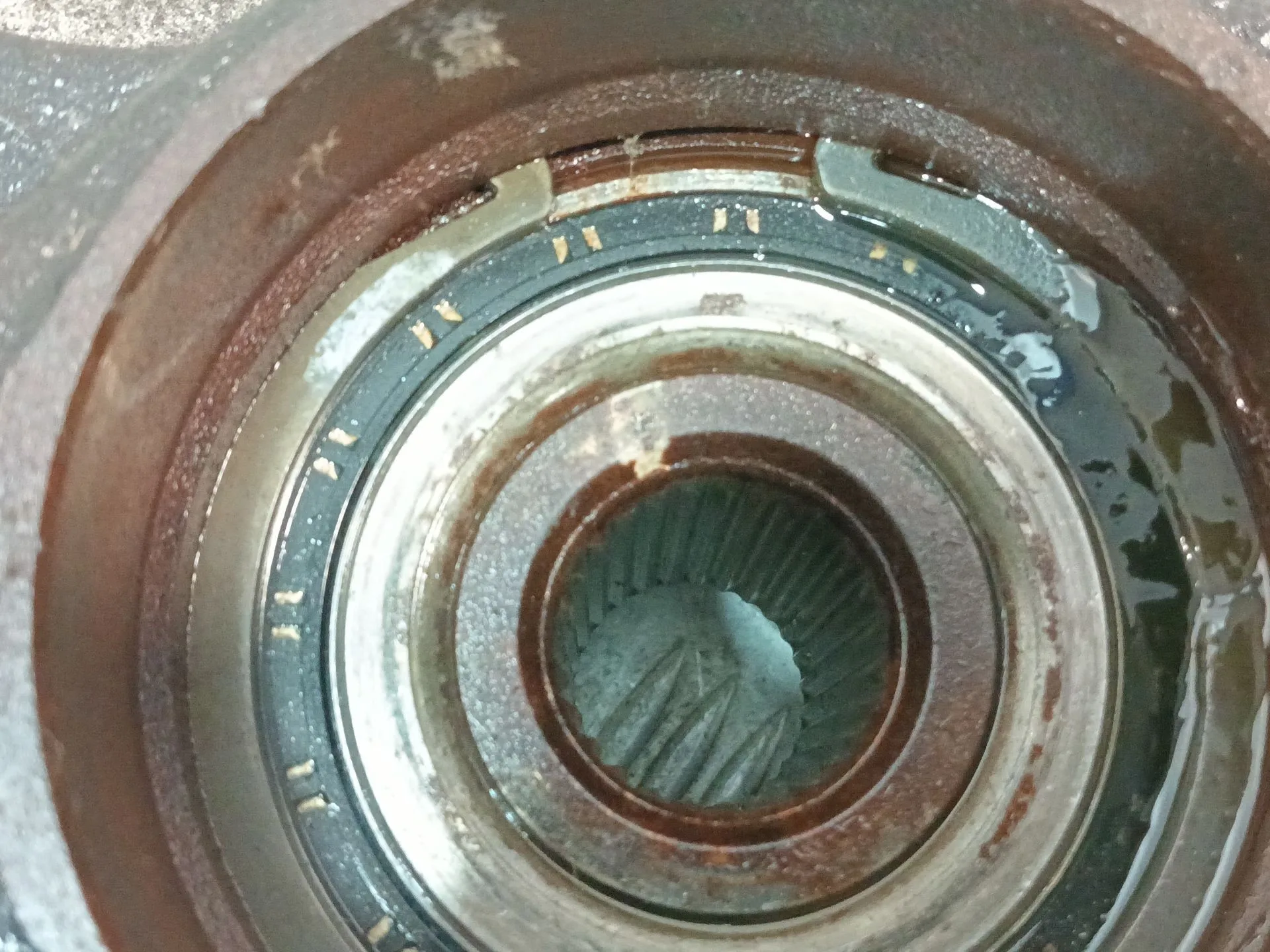 Mangueta Delantera Izquierda para Kia Sportage