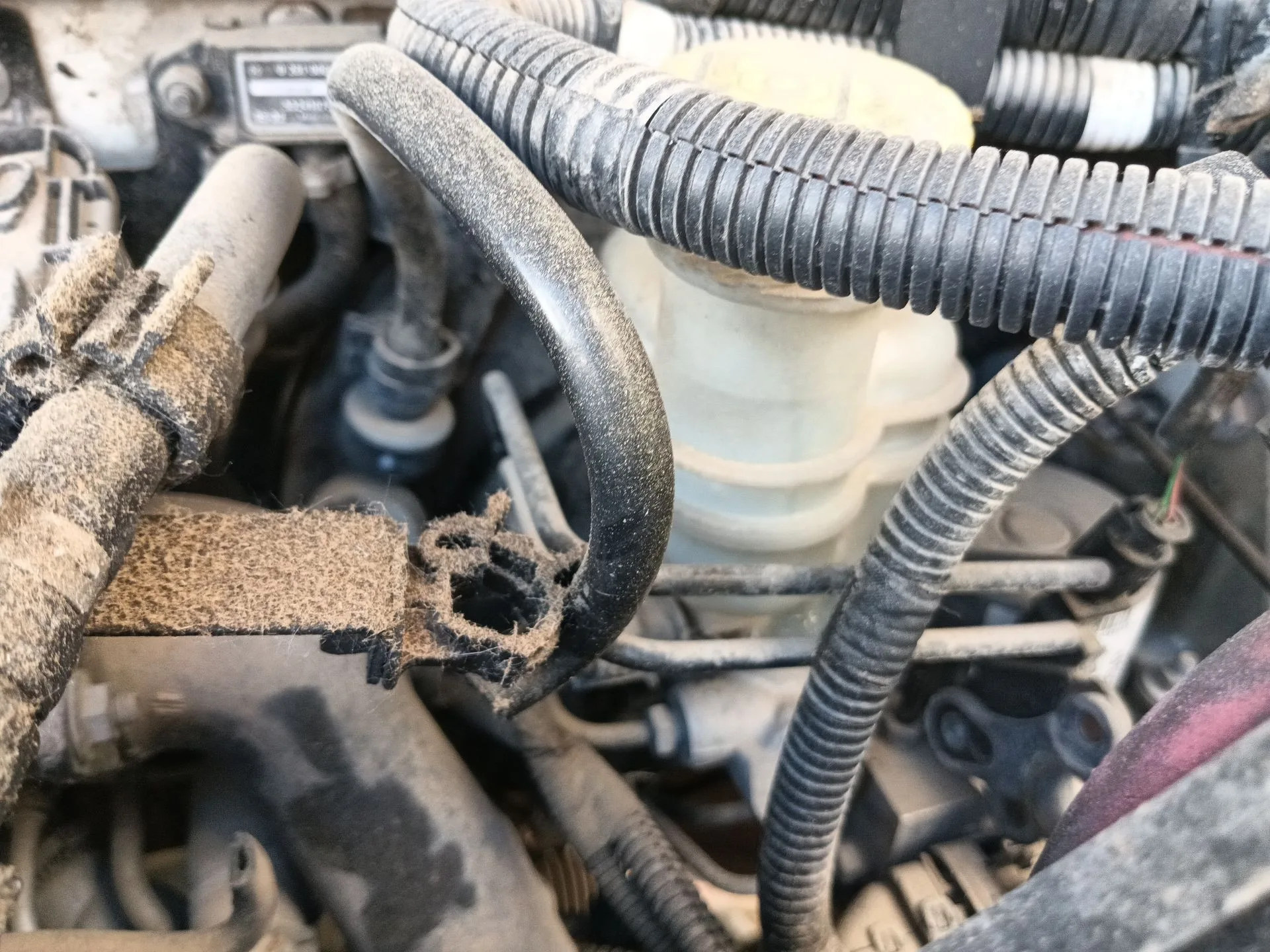 Bomba Freno para Fiat 500 (312_)