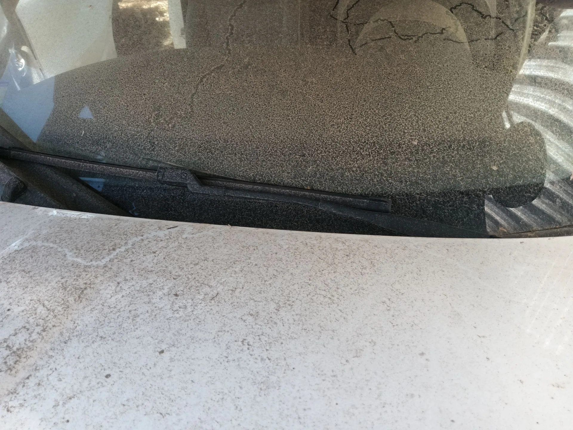 Brazo Limpia Delantero Derecho para Fiat 500 (312_)