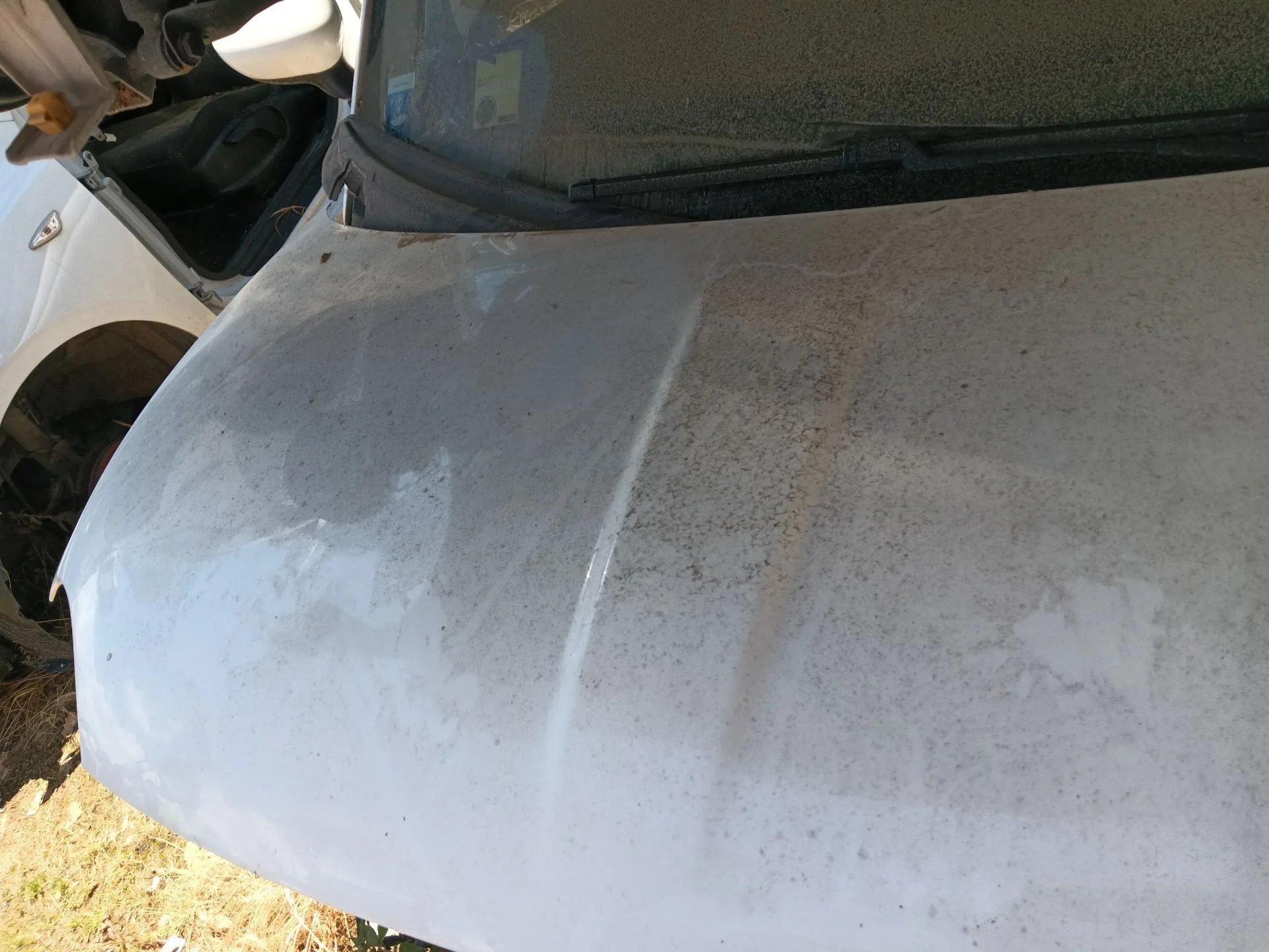 Capot Delantero para Fiat 500 (312_)