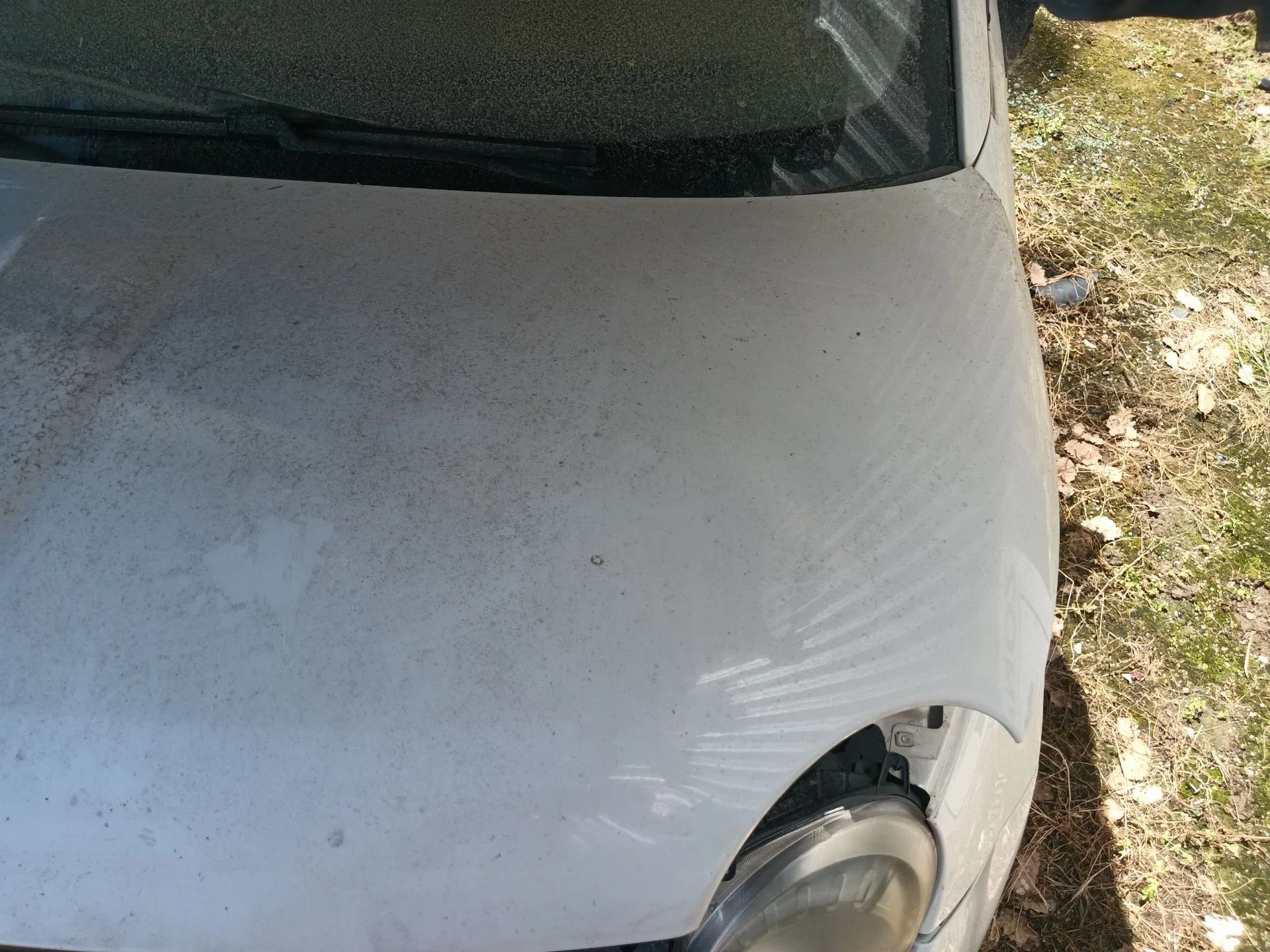 Capot Delantero para Fiat 500 (312_)