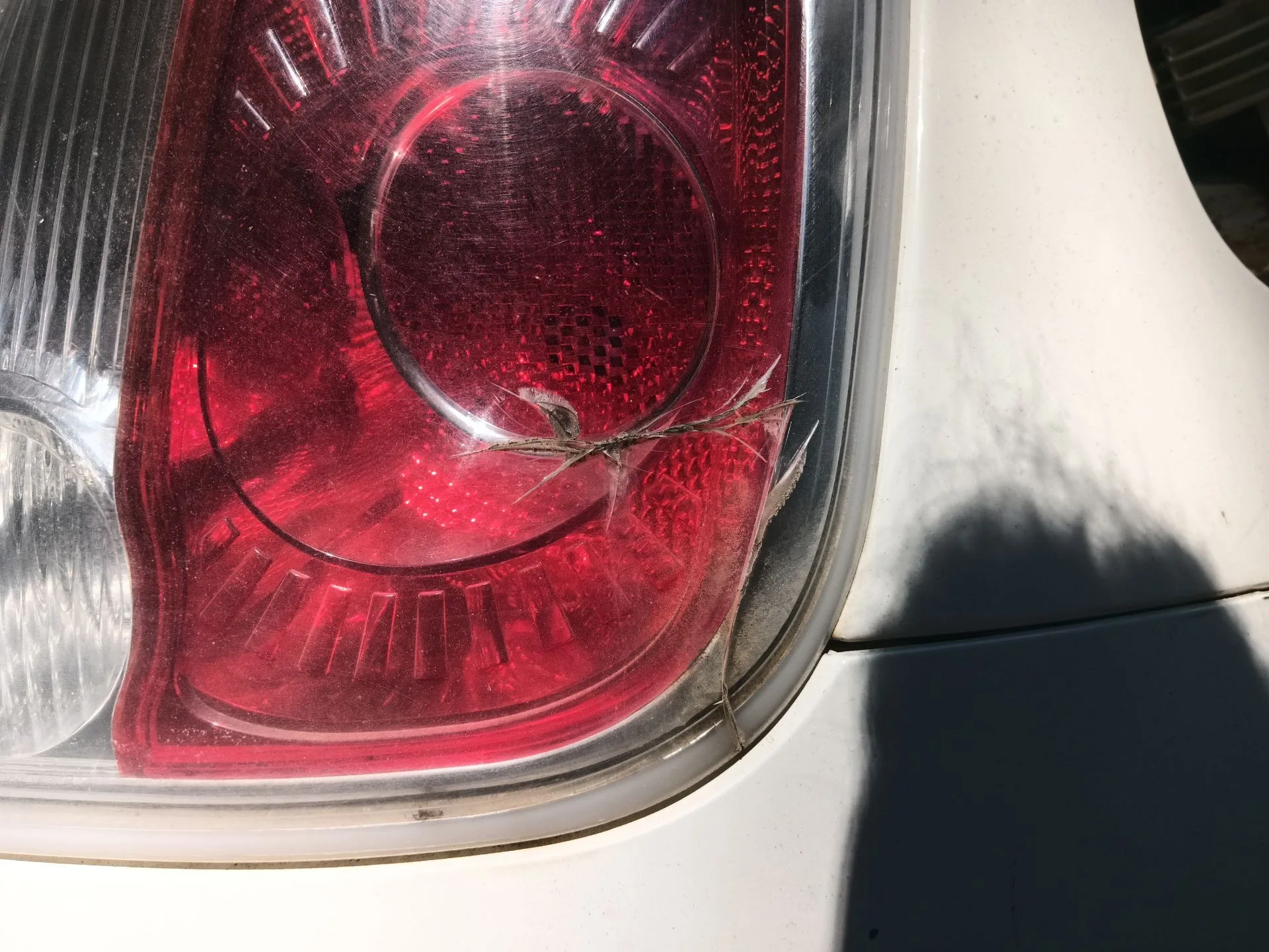 Piloto Trasero Derecho para Fiat 500 (312_)