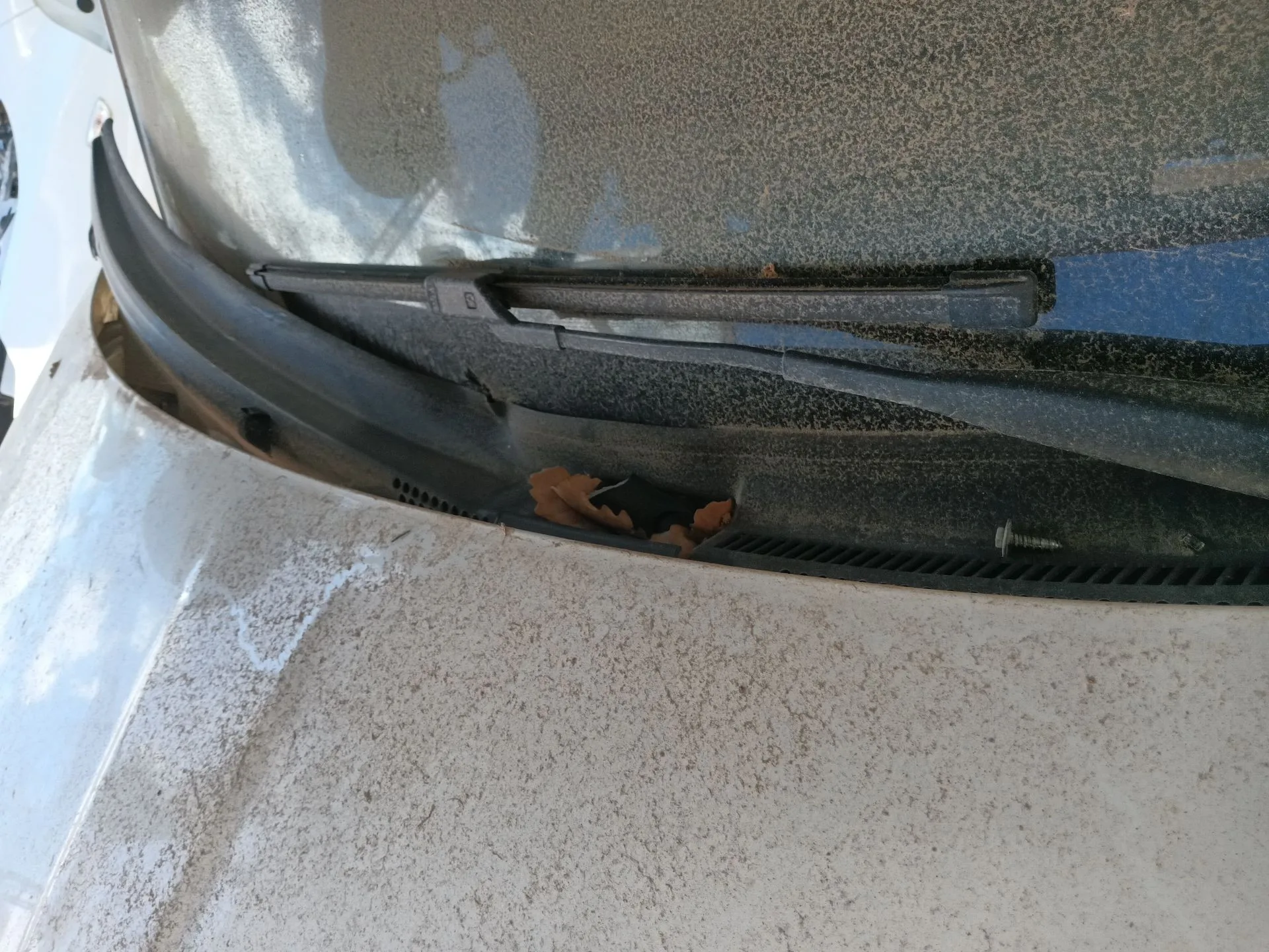 Torpedo para Fiat 500 (312_)