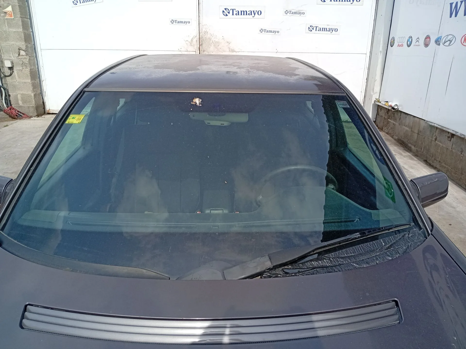 Parabrisas para Mercedes-Benz Clase E (W210)