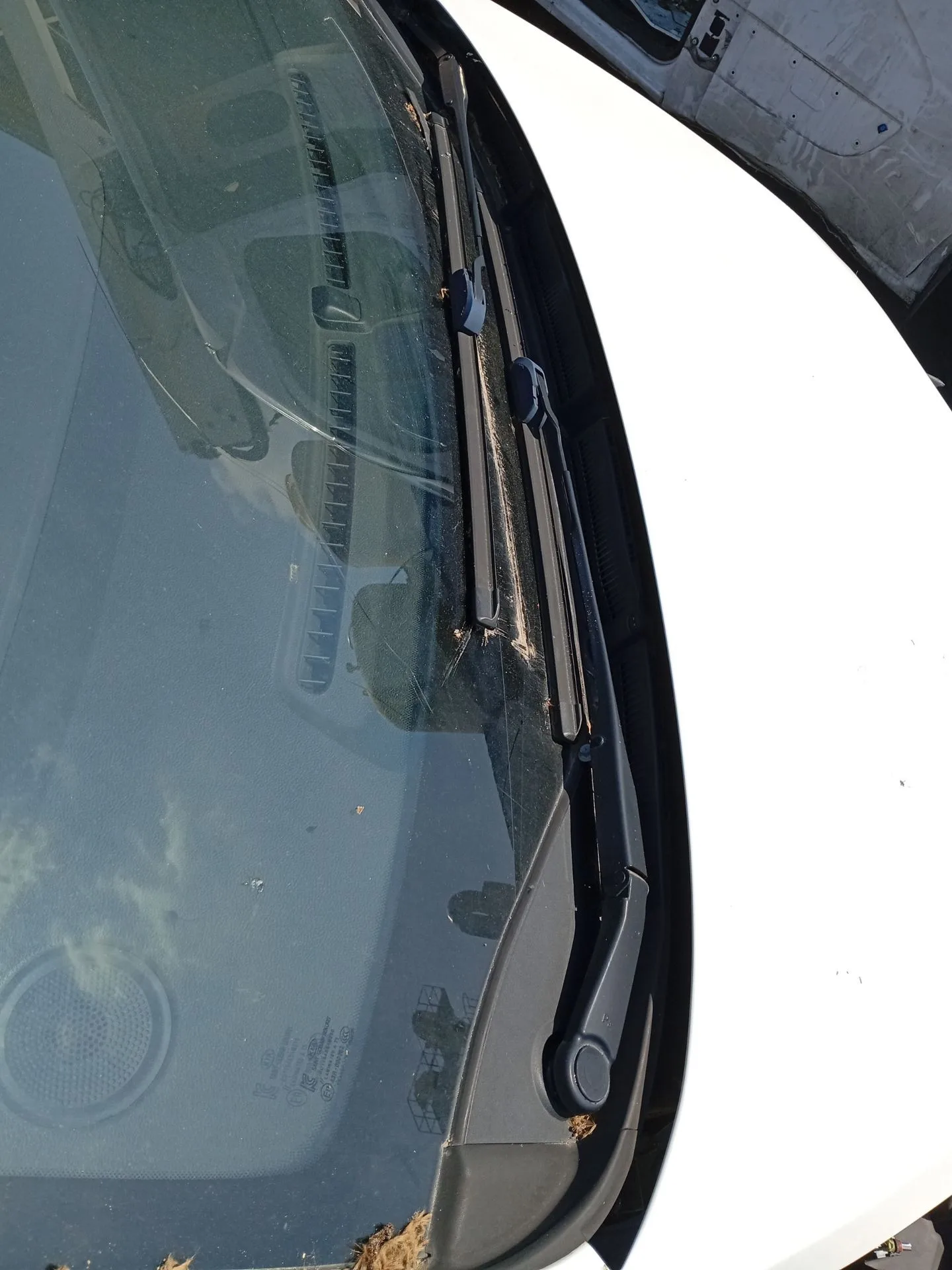 Torpedo para Kia Carens Iv