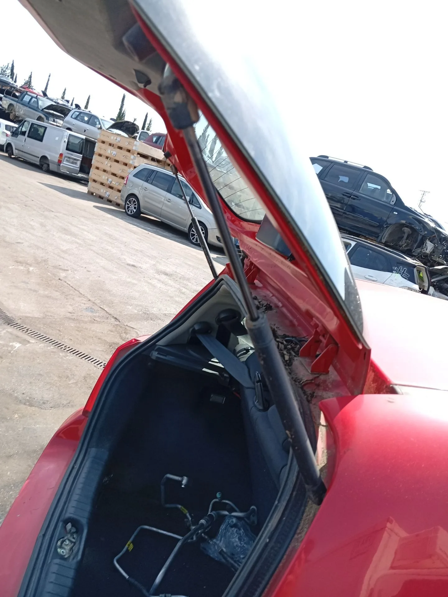 Amortiguadores Maletero / Porton para Chevrolet Aveo / Kalos Hatchback (T250, T255)