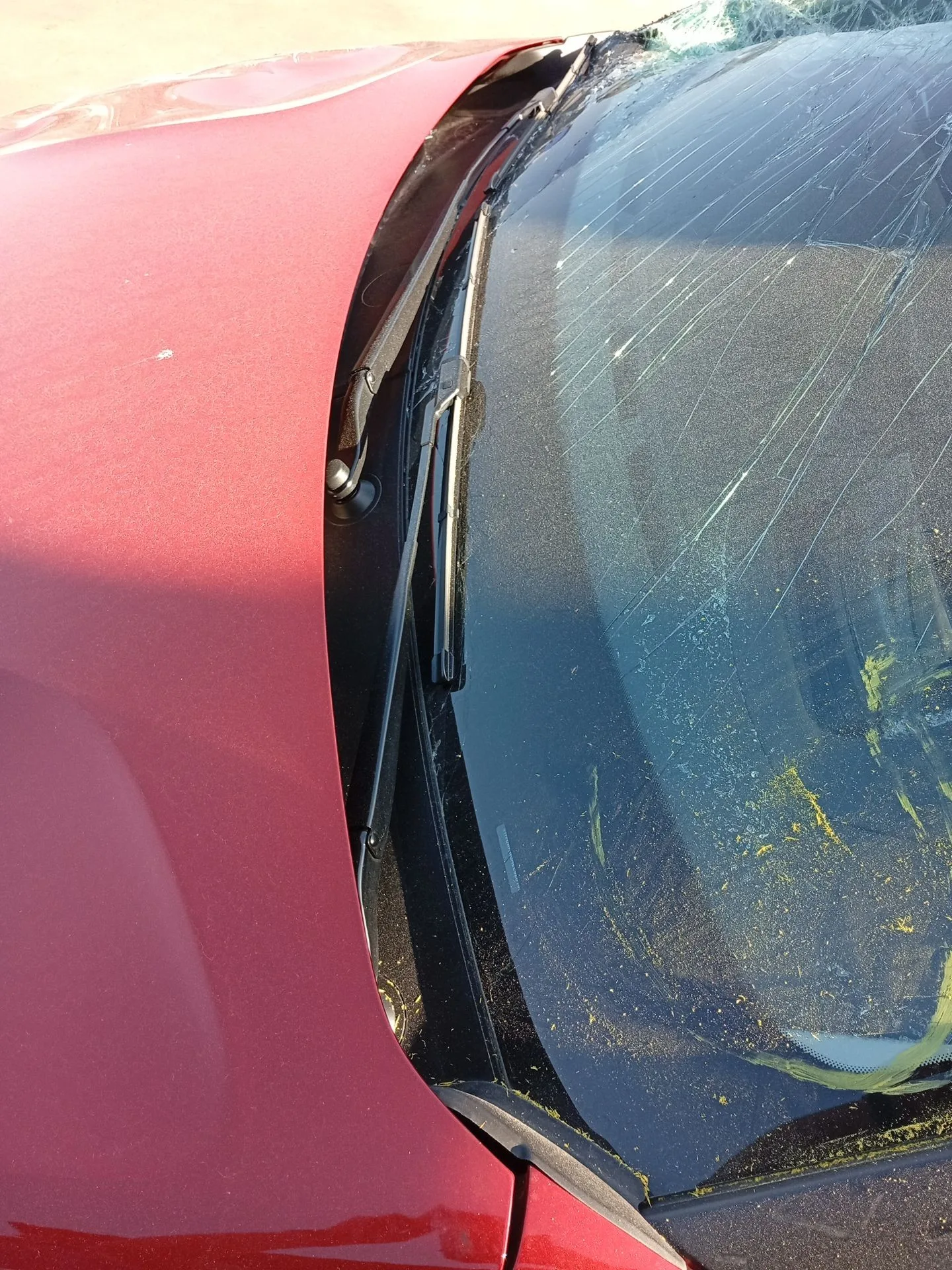 Torpedo para Citroën C4 Iii (Ba_, Bb_, Bc_)