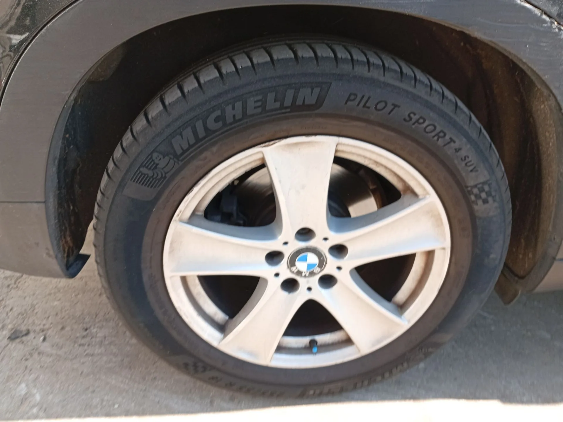 Pinza Freno Trasera Derecha para Bmw X5 (E70)