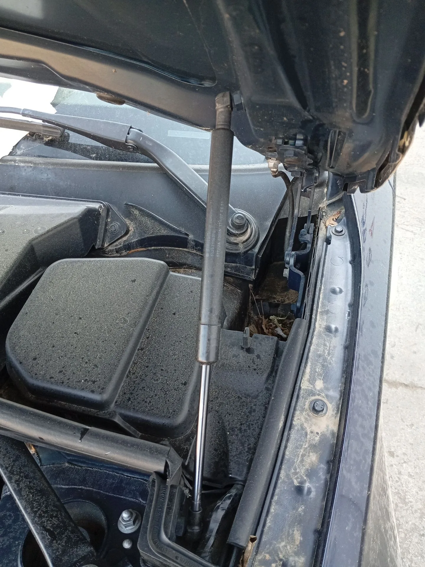 Amortiguadores Capo para Bmw 1 (E81)
