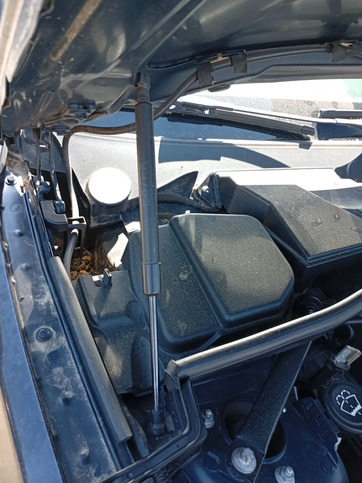 Amortiguadores Capo para Bmw 1 (E81)