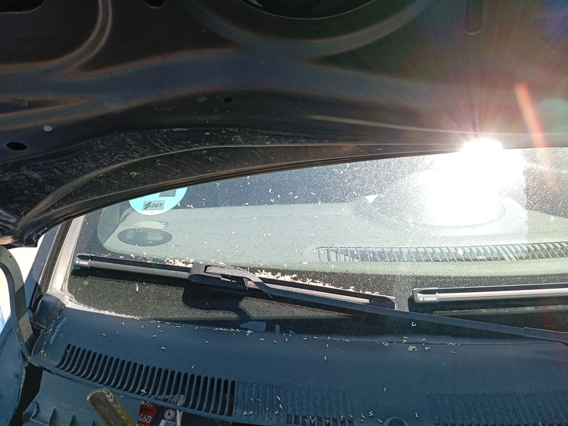 Brazo Limpia Delantero Derecho para Opel Tigra Twintop (X04)