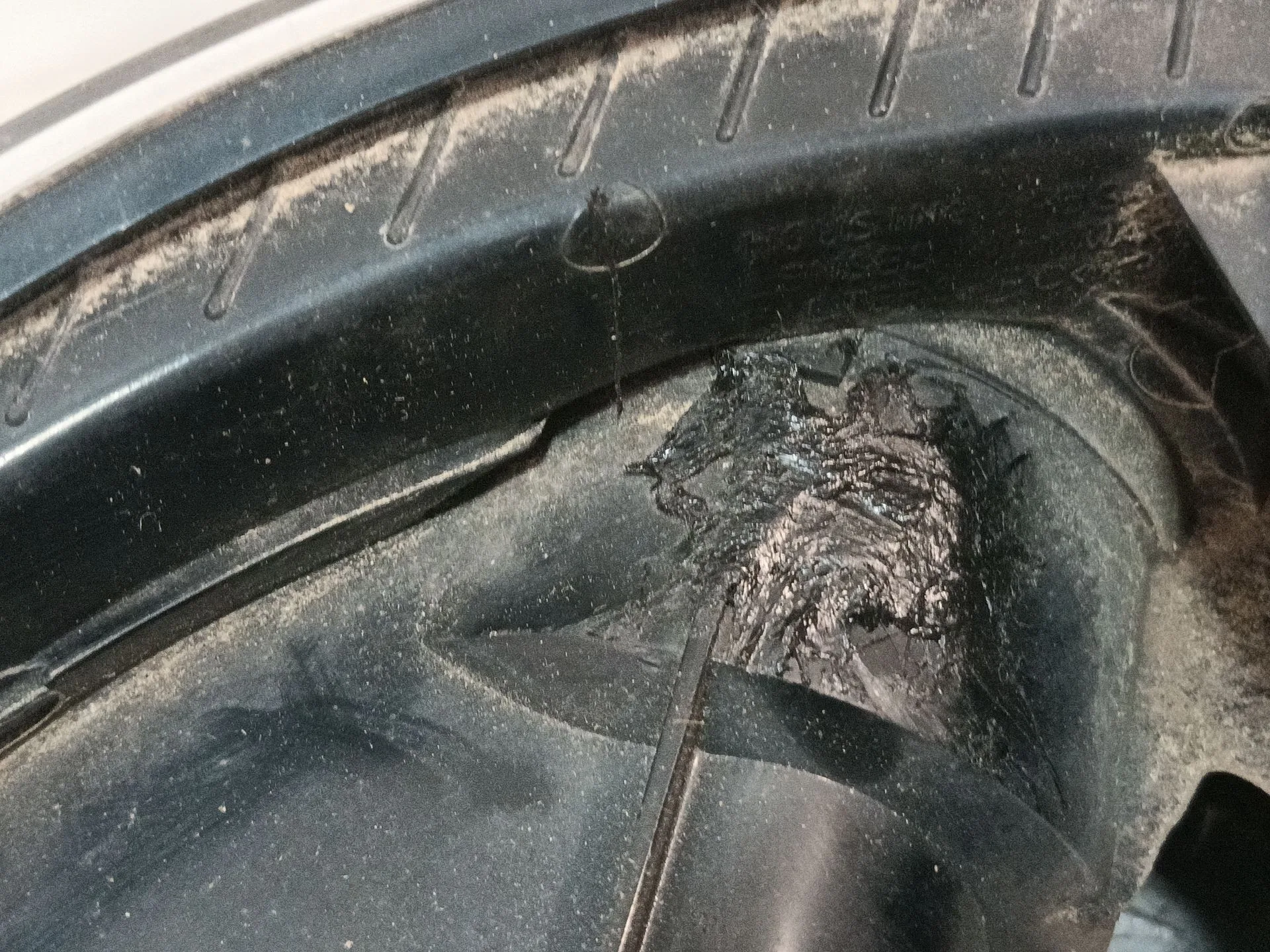 Piloto Trasero Derecho para Seat Ibiza Iii (6L1)