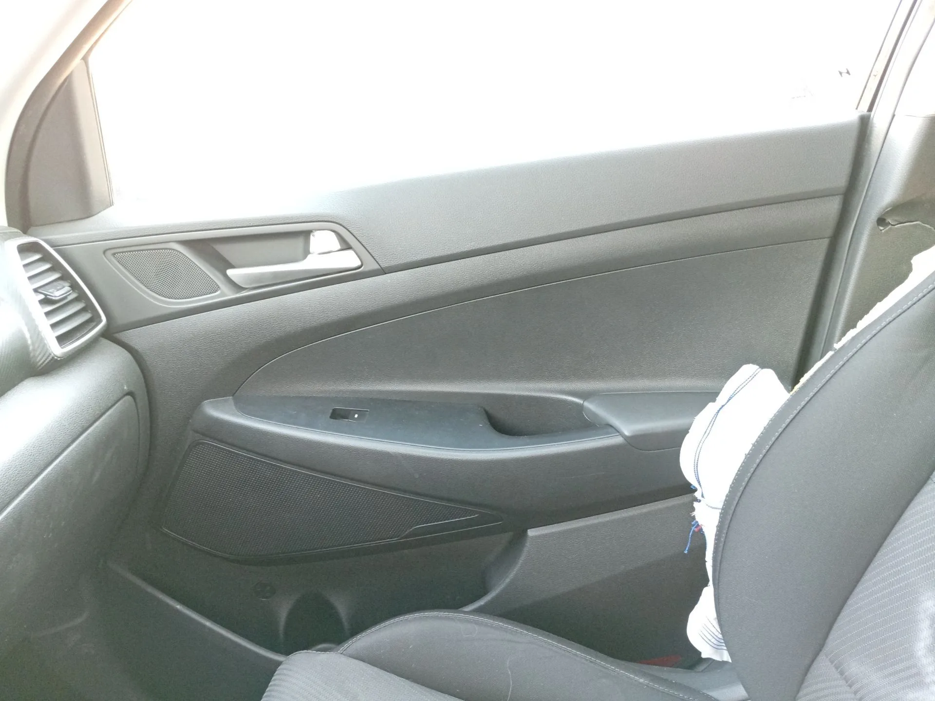 Guarnecido Puerta Delantera Derecha para Hyundai Tucson (Tl, Tle)