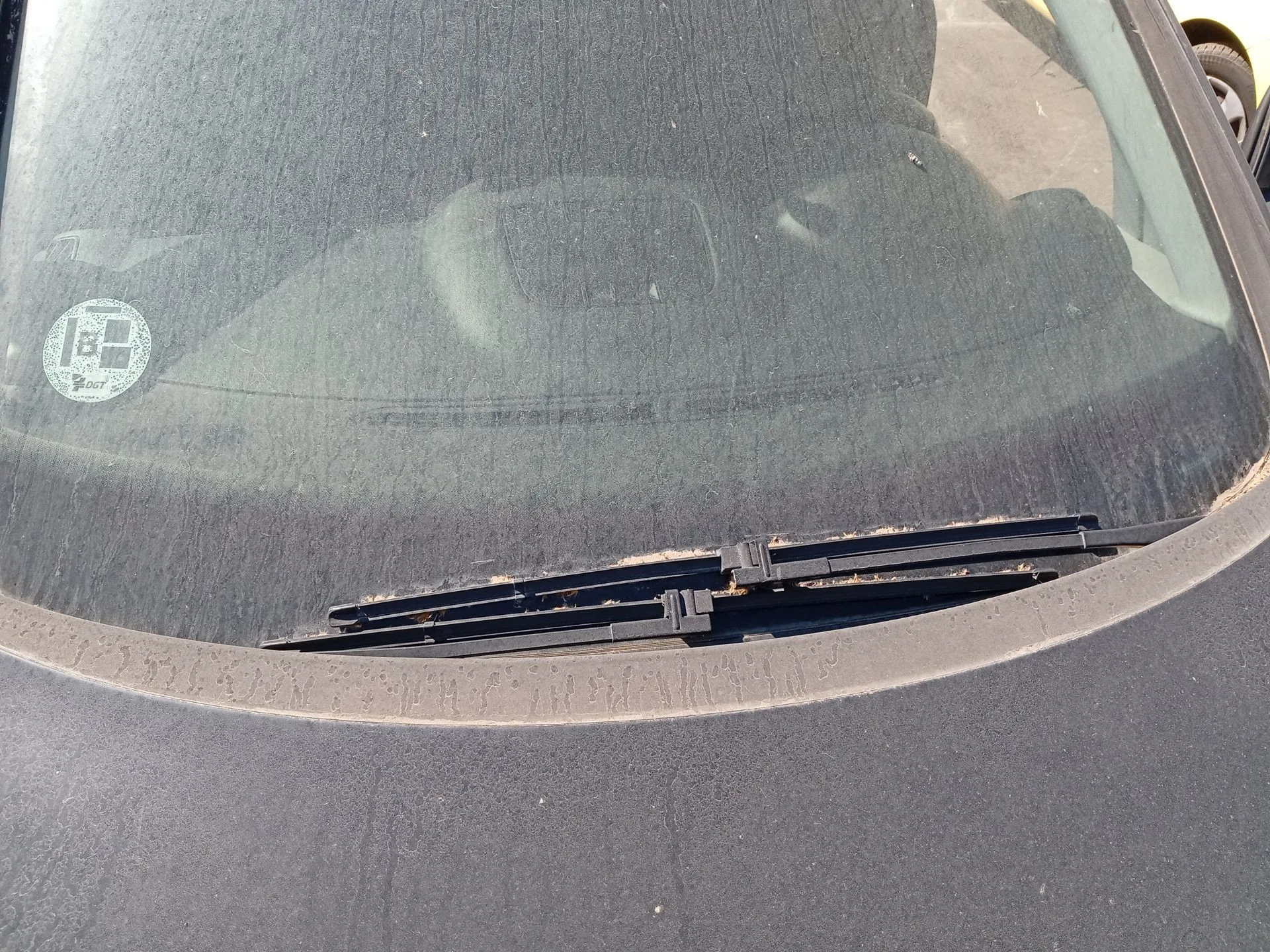 Brazo Limpia Delantero Derecho para Volkswagen Golf Plus V (5M1, 521)
