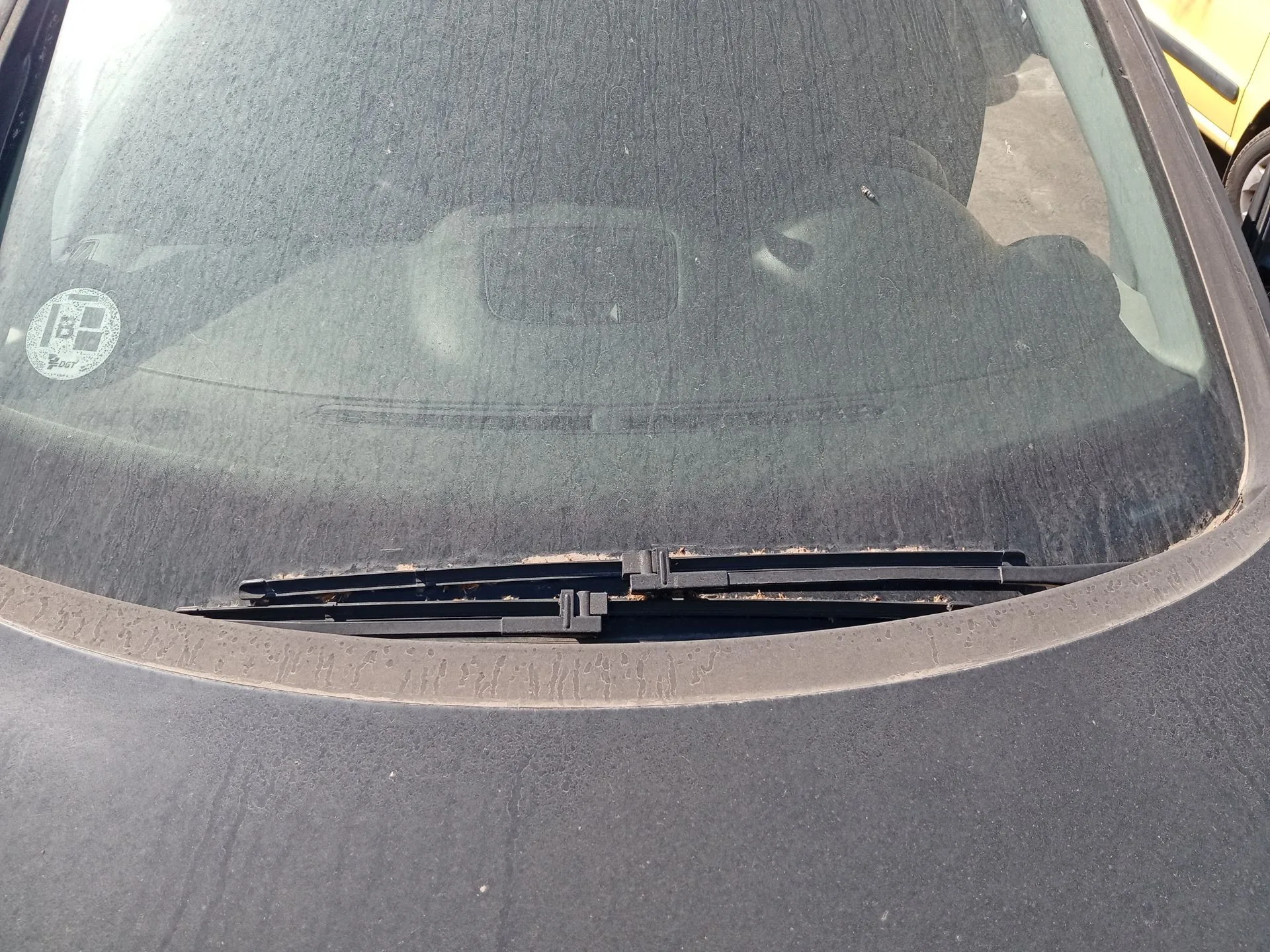 Brazo Limpia Delantero Izquierdo para Volkswagen Golf Plus V (5M1, 521)