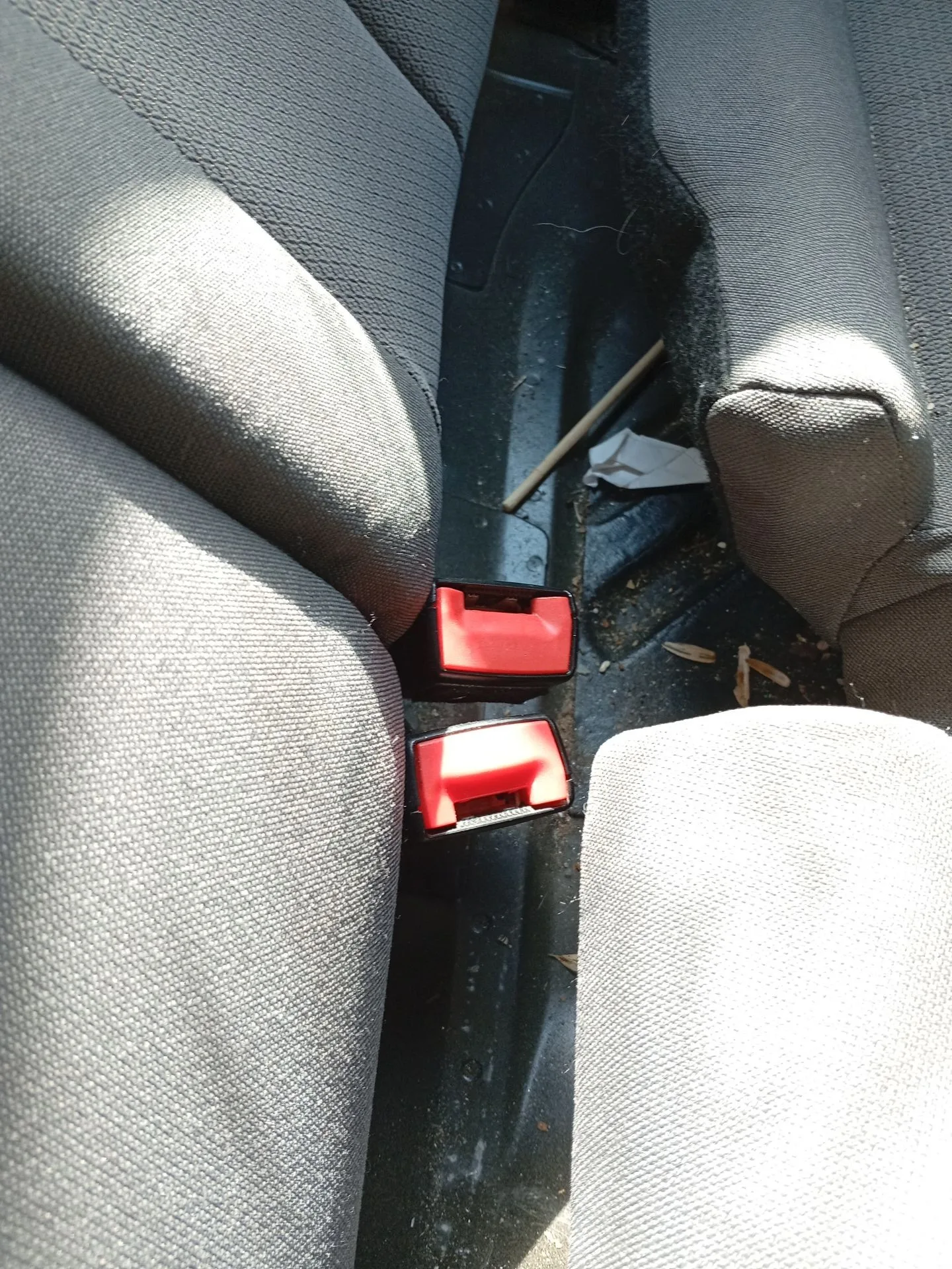 Enganche Cinturon Trasero Izquierdo para Seat Leon (1P1)