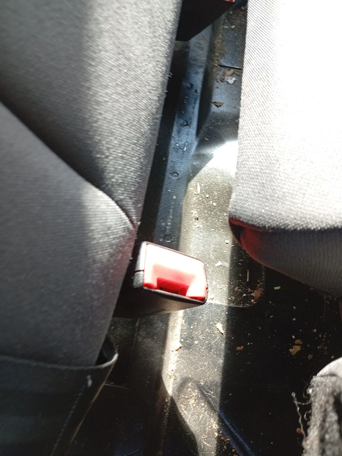 Enganche Cinturon Trasero Derecho para Seat Leon (1P1)