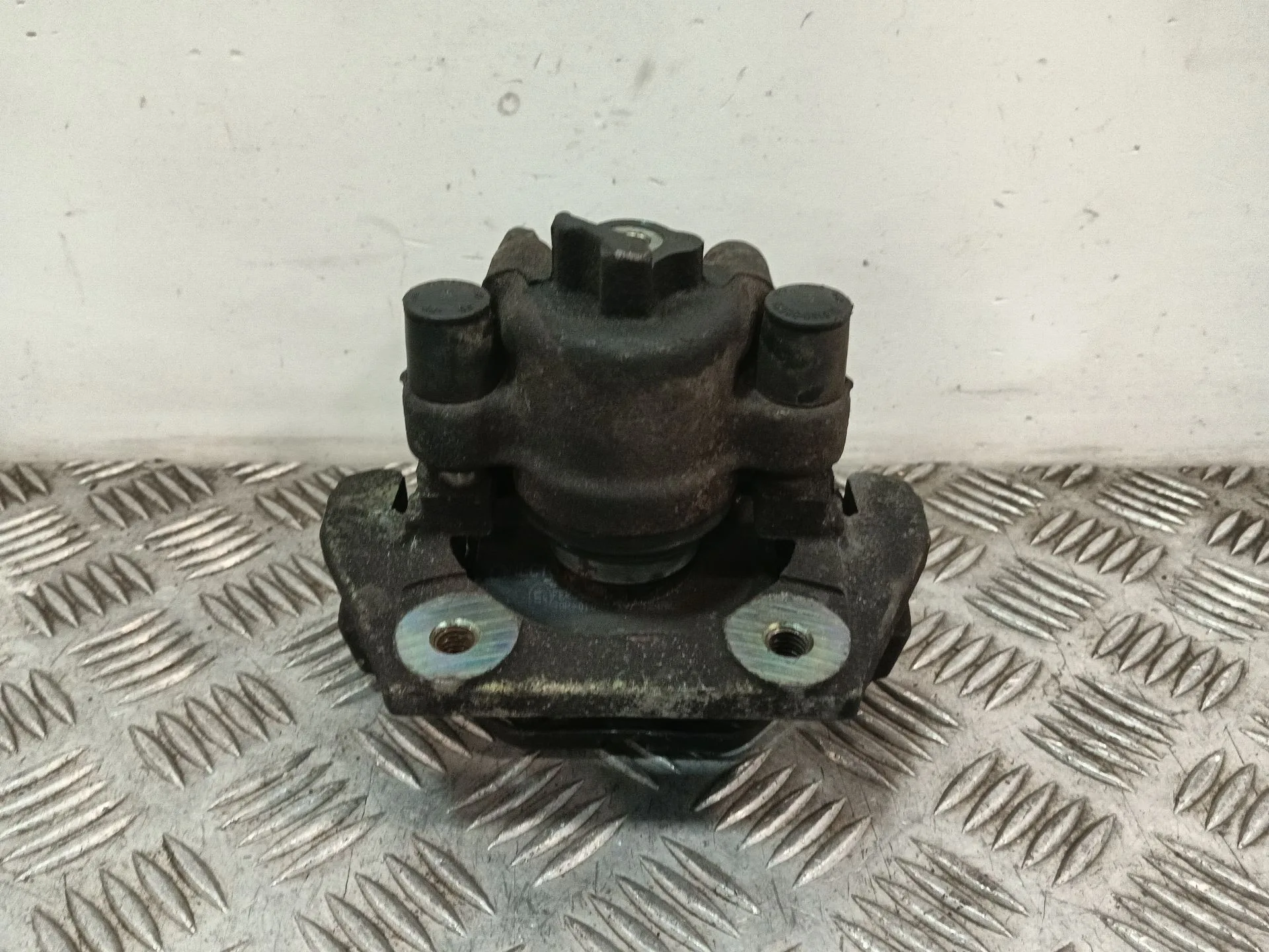Pinza Freno Trasera Izquierda para Bmw X5 (E53)