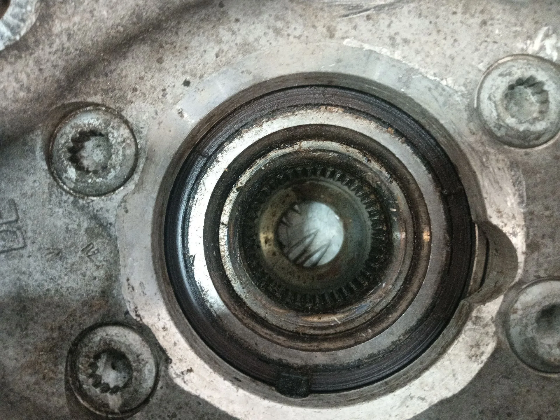 Mangueta Delantera Derecha para Audi A4 Allroad Quattro (8K)