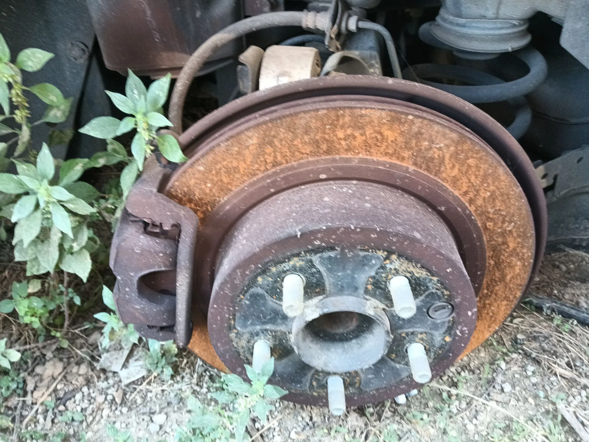 Mangueta Trasera Derecha para Nissan Qashqai I (J10, Nj10)