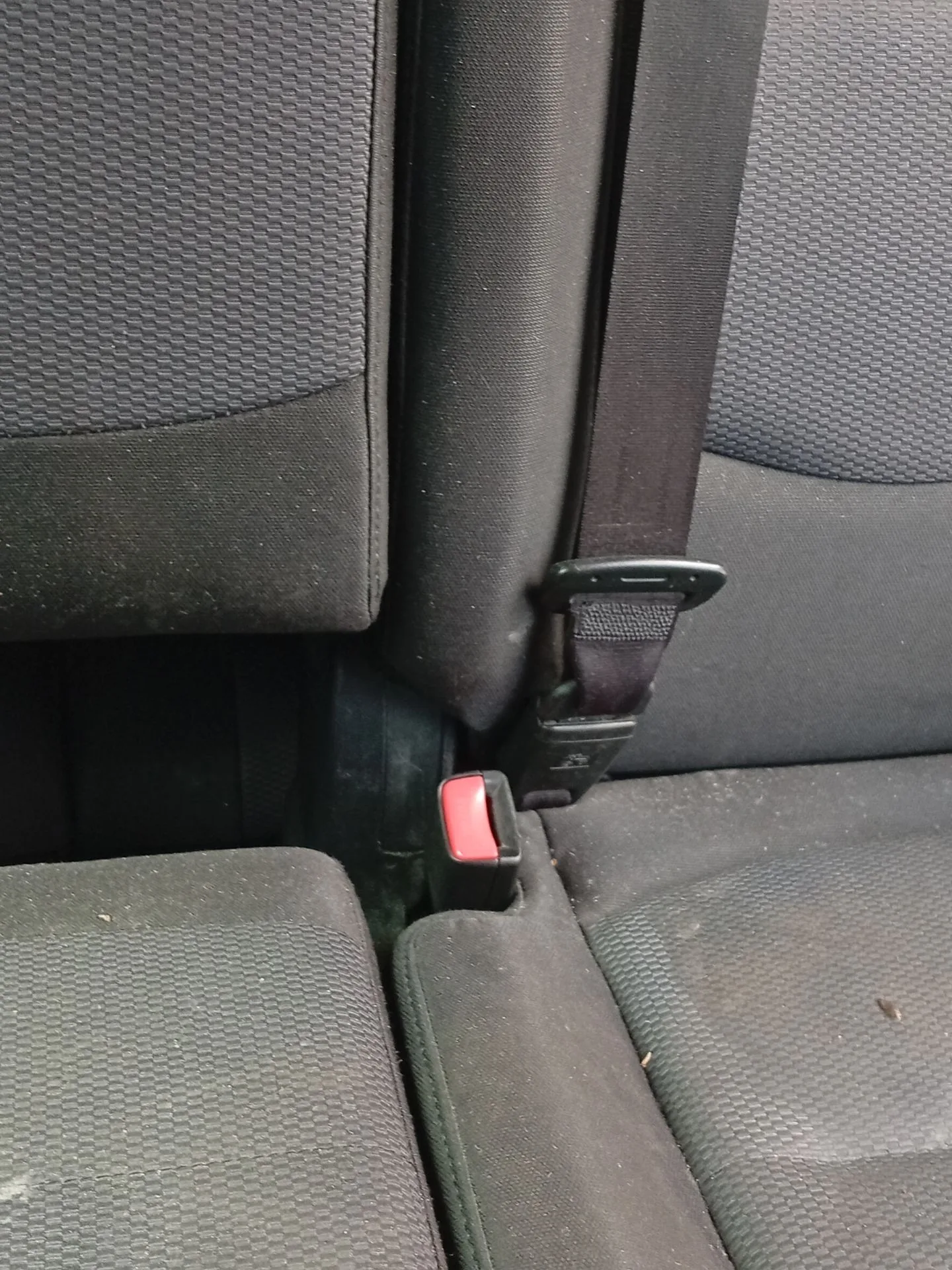 Enganche Cinturon Trasero Izquierdo para Mazda 5 (Cr)