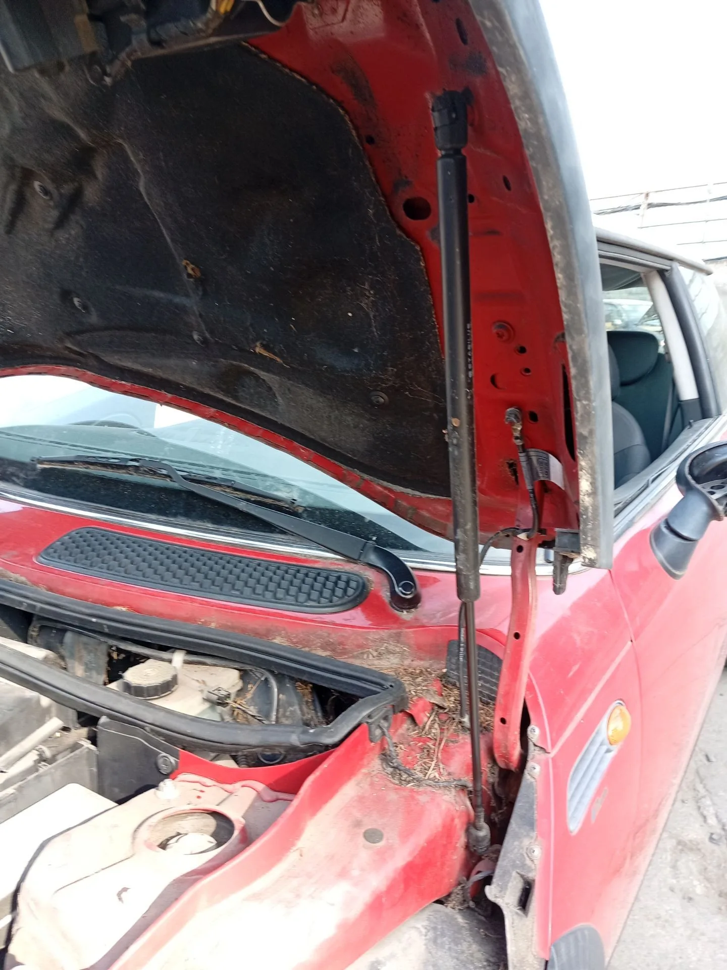 Amortiguadores Capo para Mini Mini (R50, R53)