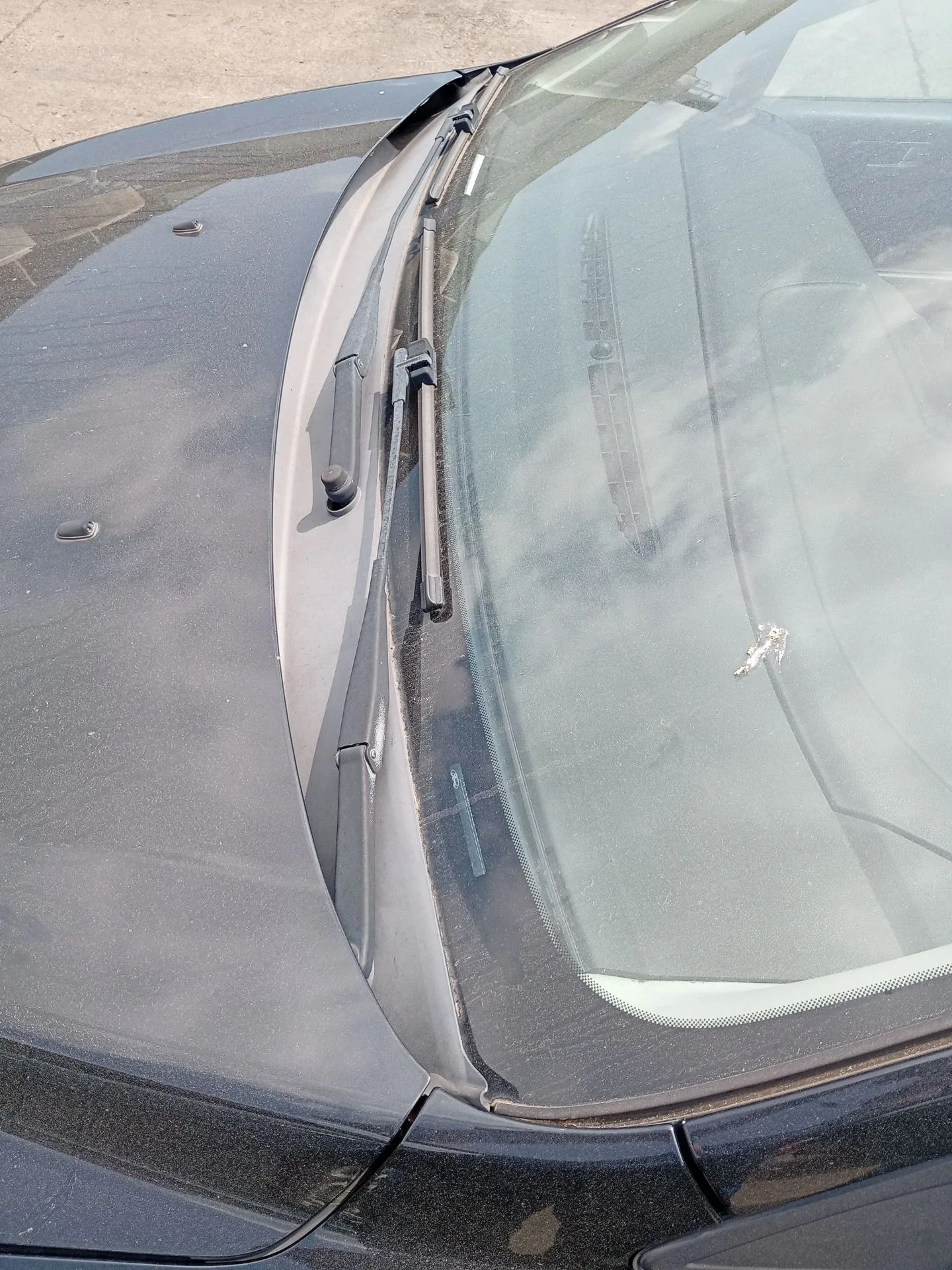 Torpedo para Ford Focus Ii (Da_, Hcp, Dp)