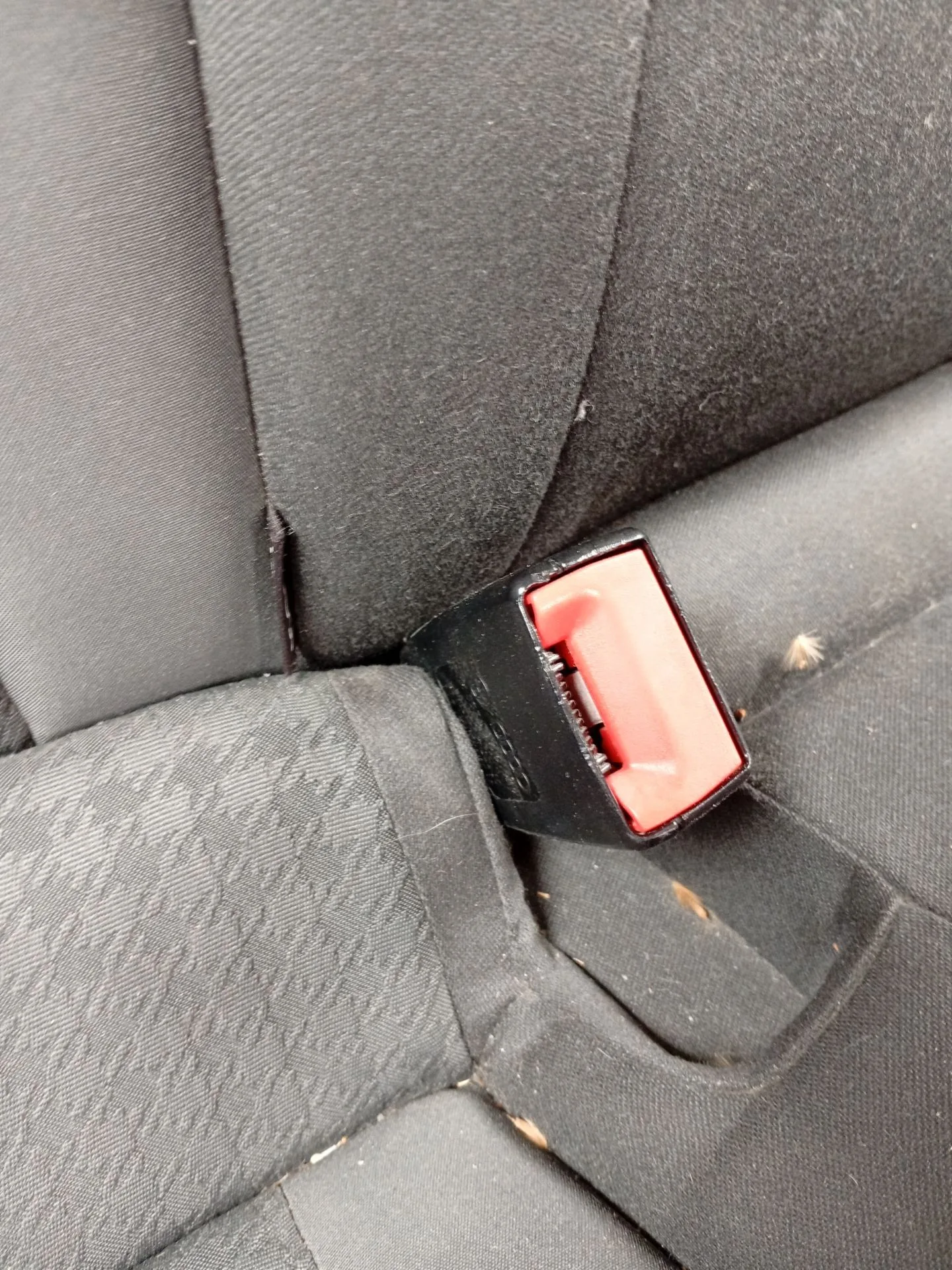 Enganche Cinturon Trasero Derecho para Audi A1 (8X1, 8Xk)