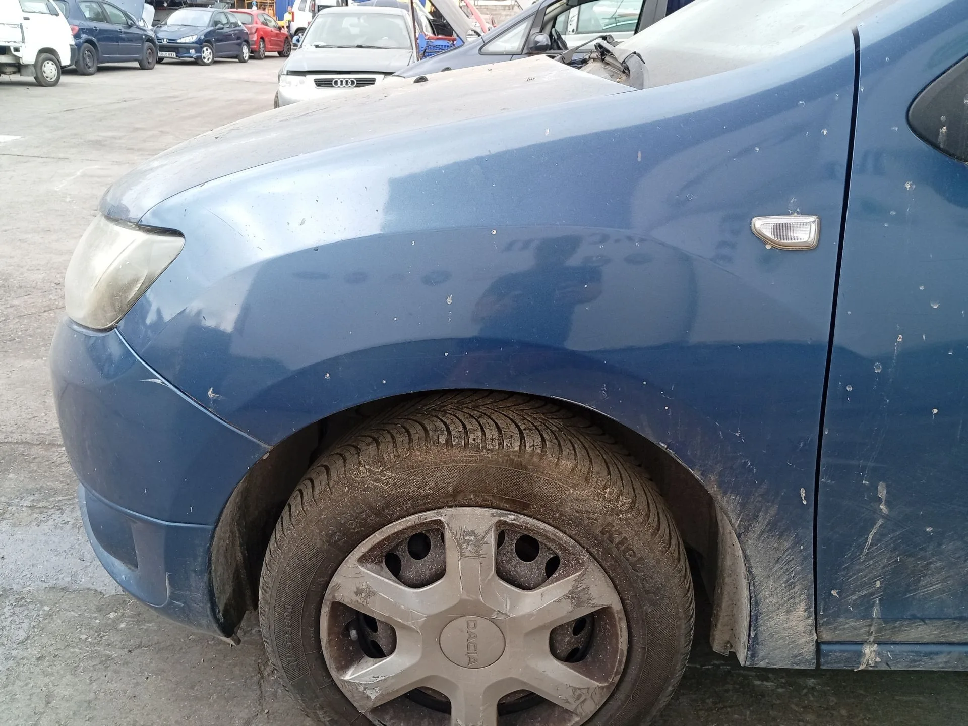 Aleta Delantera Izquierda para Dacia Sandero Ii (B8_)