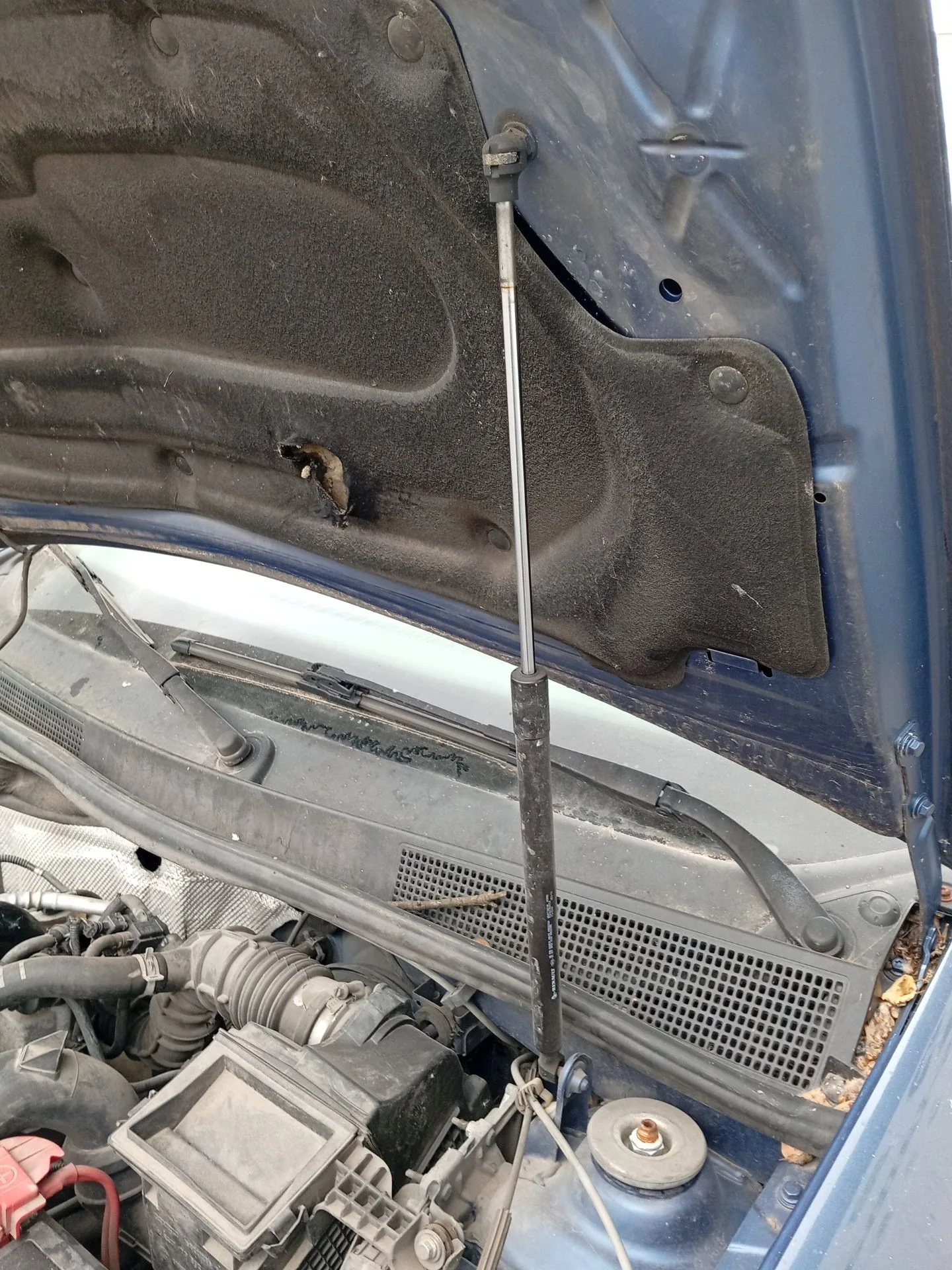 Amortiguadores Capo para Dacia Sandero Ii (B8_)