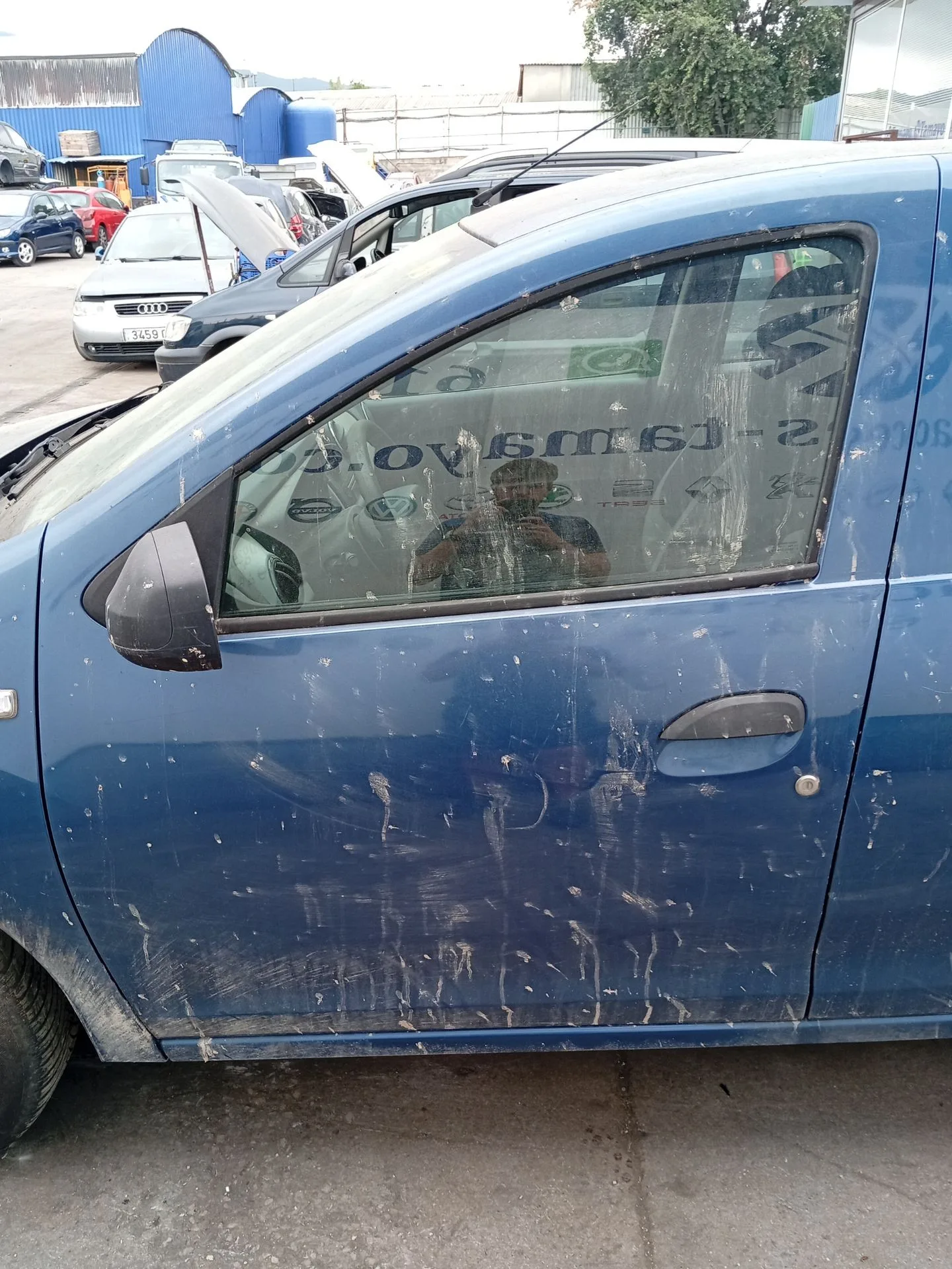 Puerta Delantera Izquierda para Dacia Sandero Ii (B8_)
