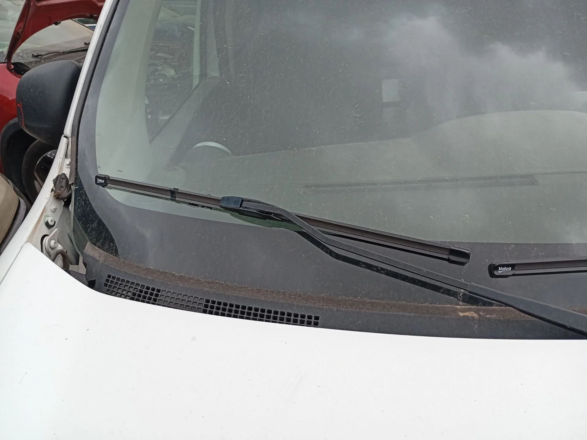 Brazo Limpia Delantero Derecho para Renault Kangoo Express (Fw0/1_)
