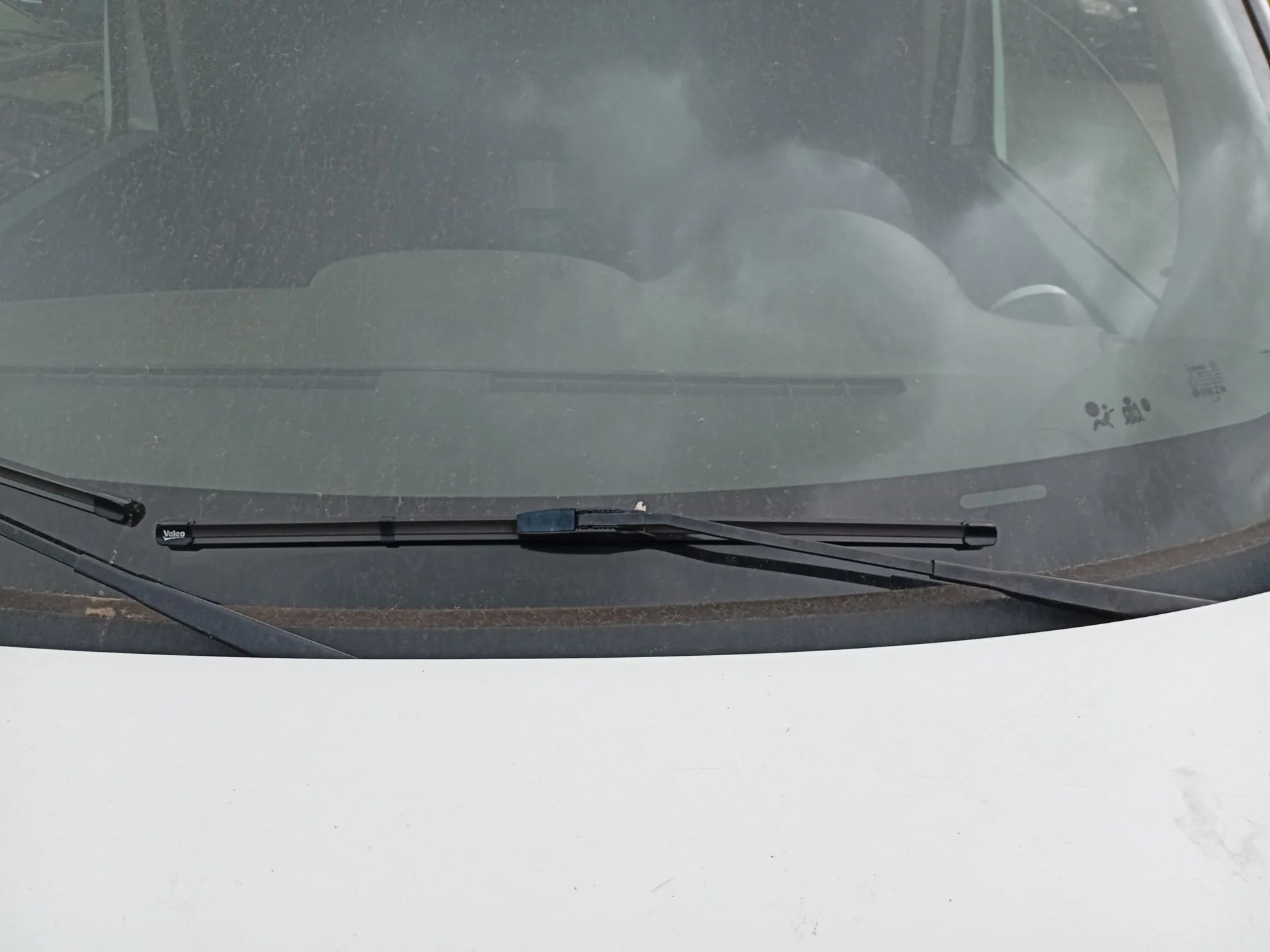 Brazo Limpia Delantero Izquierdo para Renault Kangoo Express (Fw0/1_)