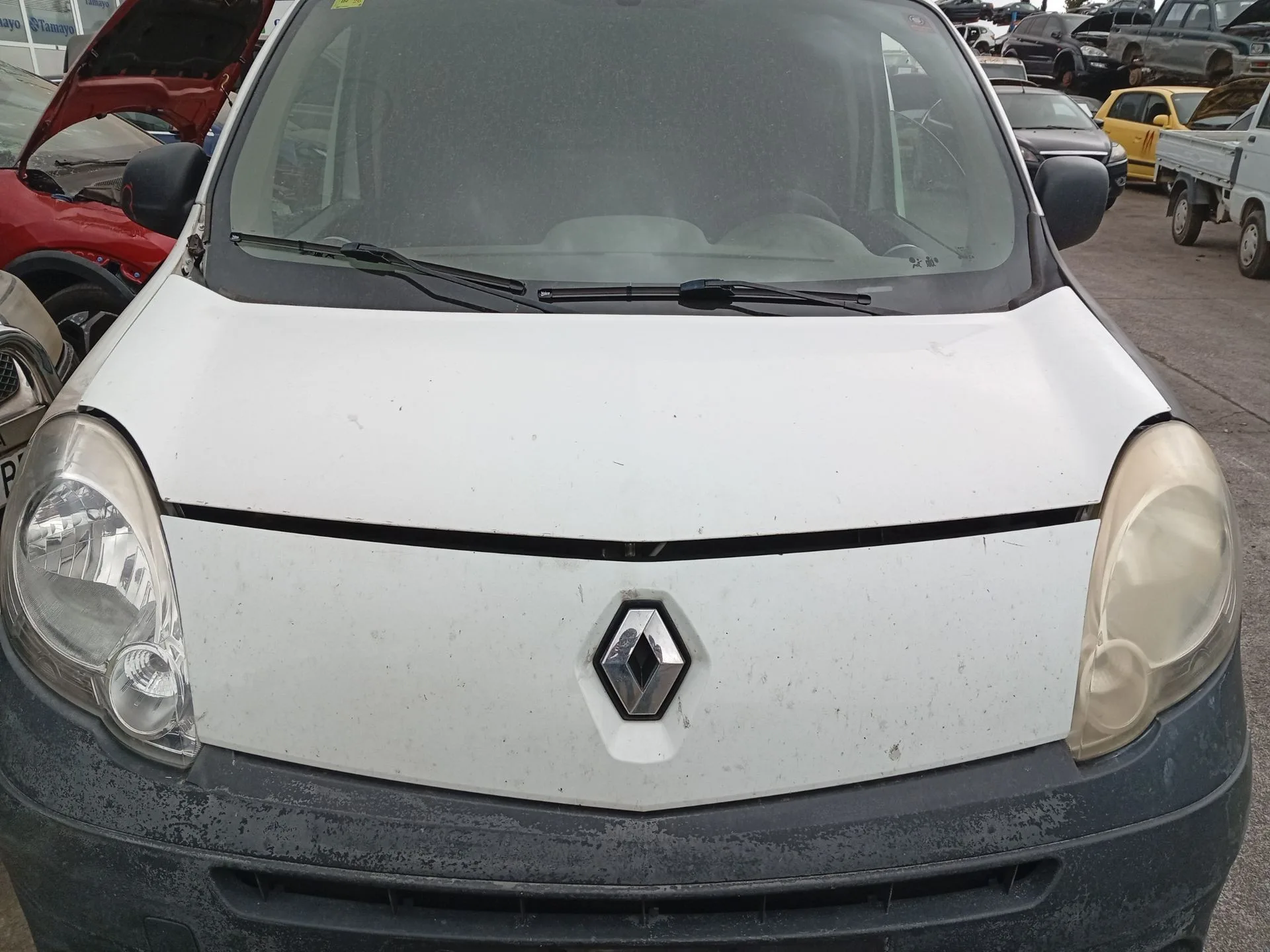 Capot Delantero para Renault Kangoo Express (Fw0/1_)