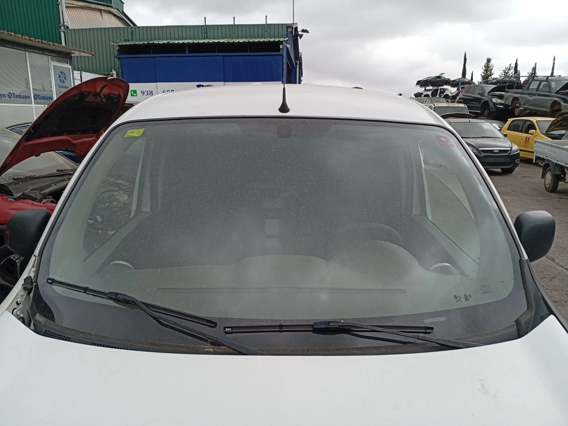 Parabrisas para Renault Kangoo Express (Fw0/1_)