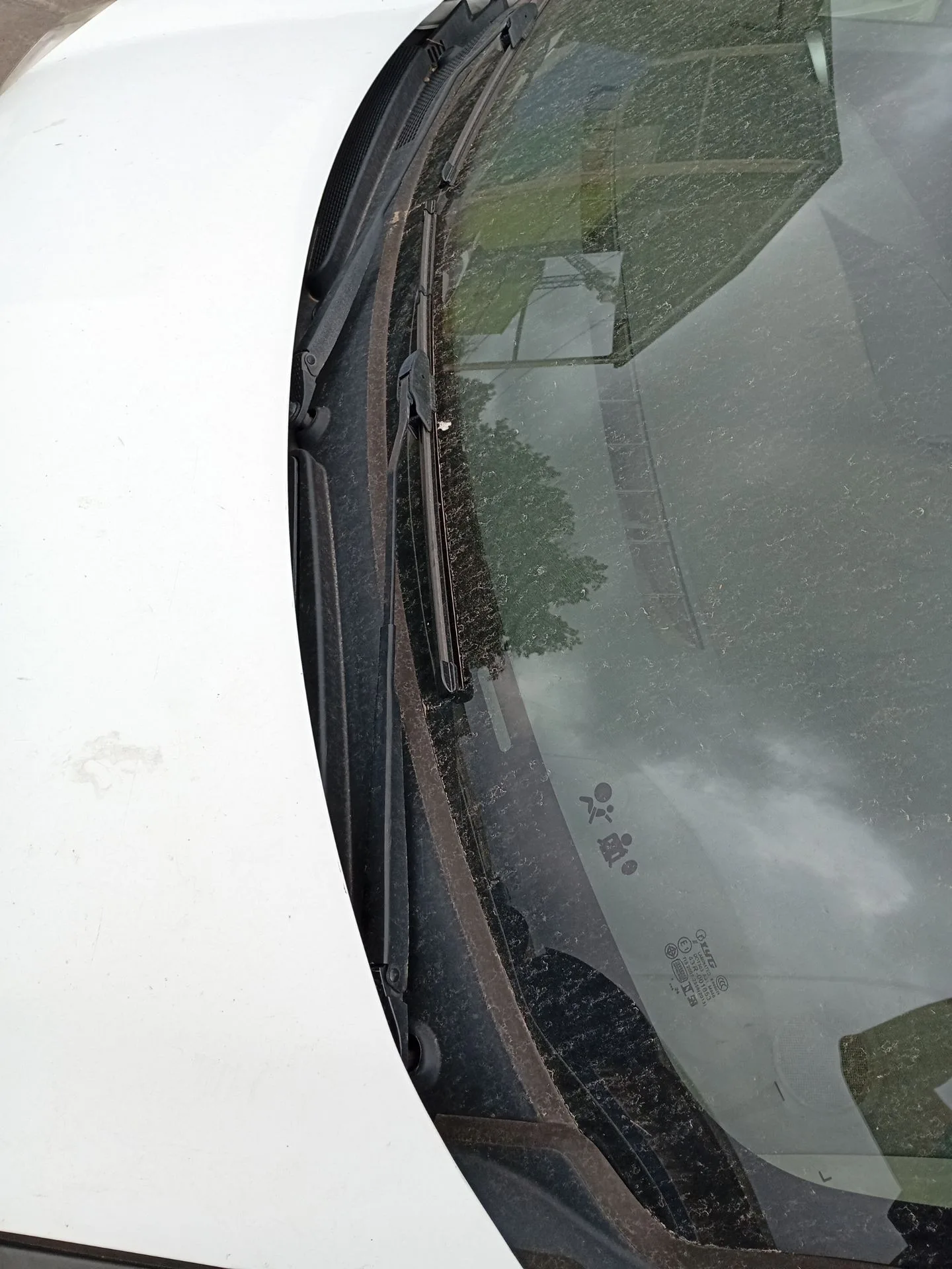 Torpedo para Renault Kangoo Express (Fw0/1_)