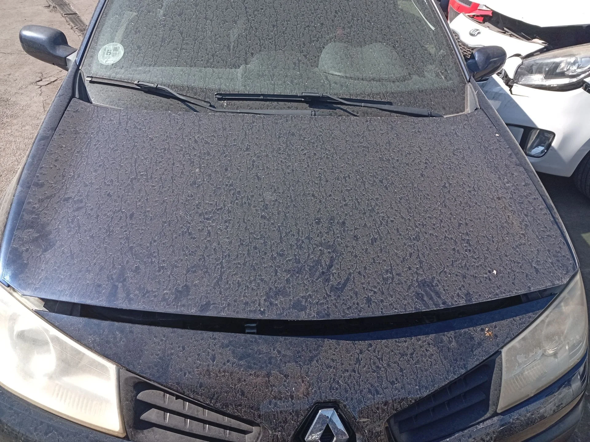 Capot Delantero para Renault Megane Ii (Bm0/1_, Cm0/1_)