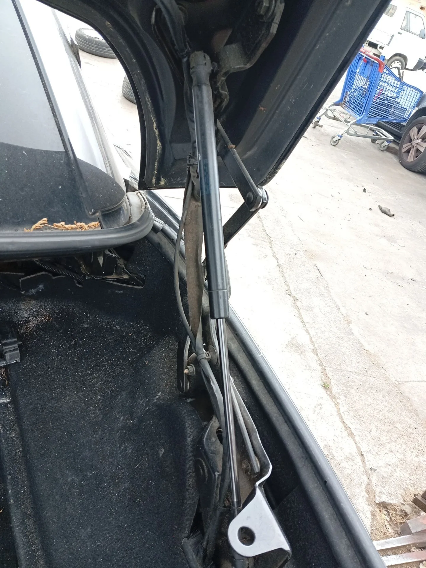 Amortiguadores Maletero / Porton para Renault Megane Ii Coupe-Cabriolet (Em0/1_)