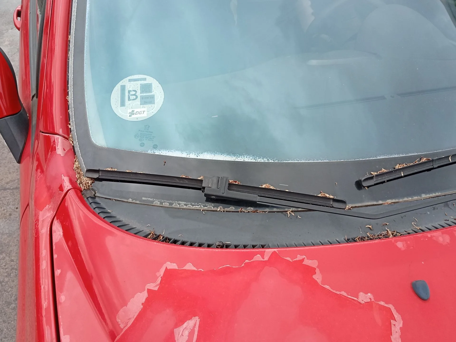 Brazo Limpia Delantero Derecho para Peugeot 207/207+ (Wa_, Wc_)