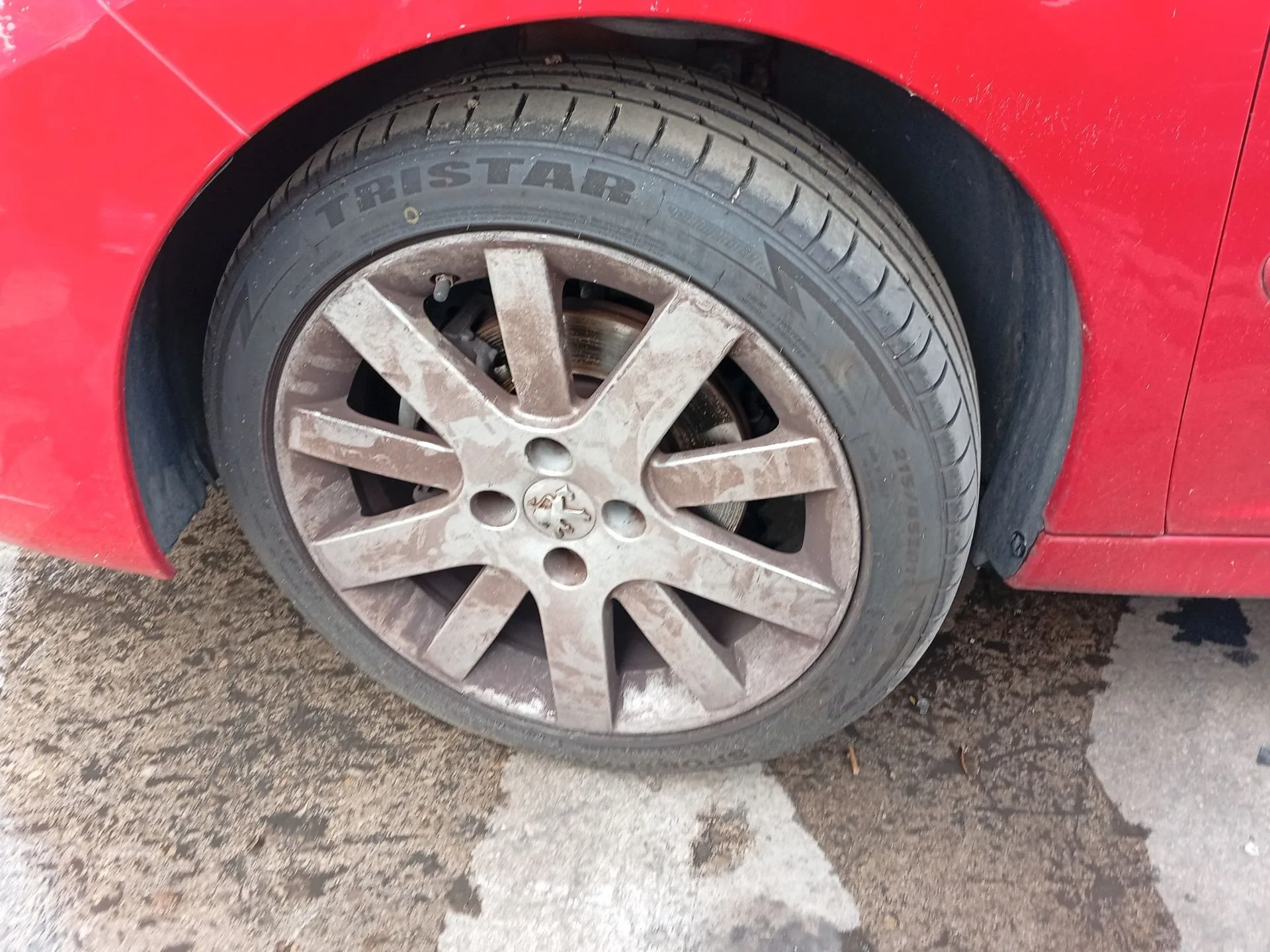 Mangueta Delantera Izquierda para Peugeot 207/207+ (Wa_, Wc_)
