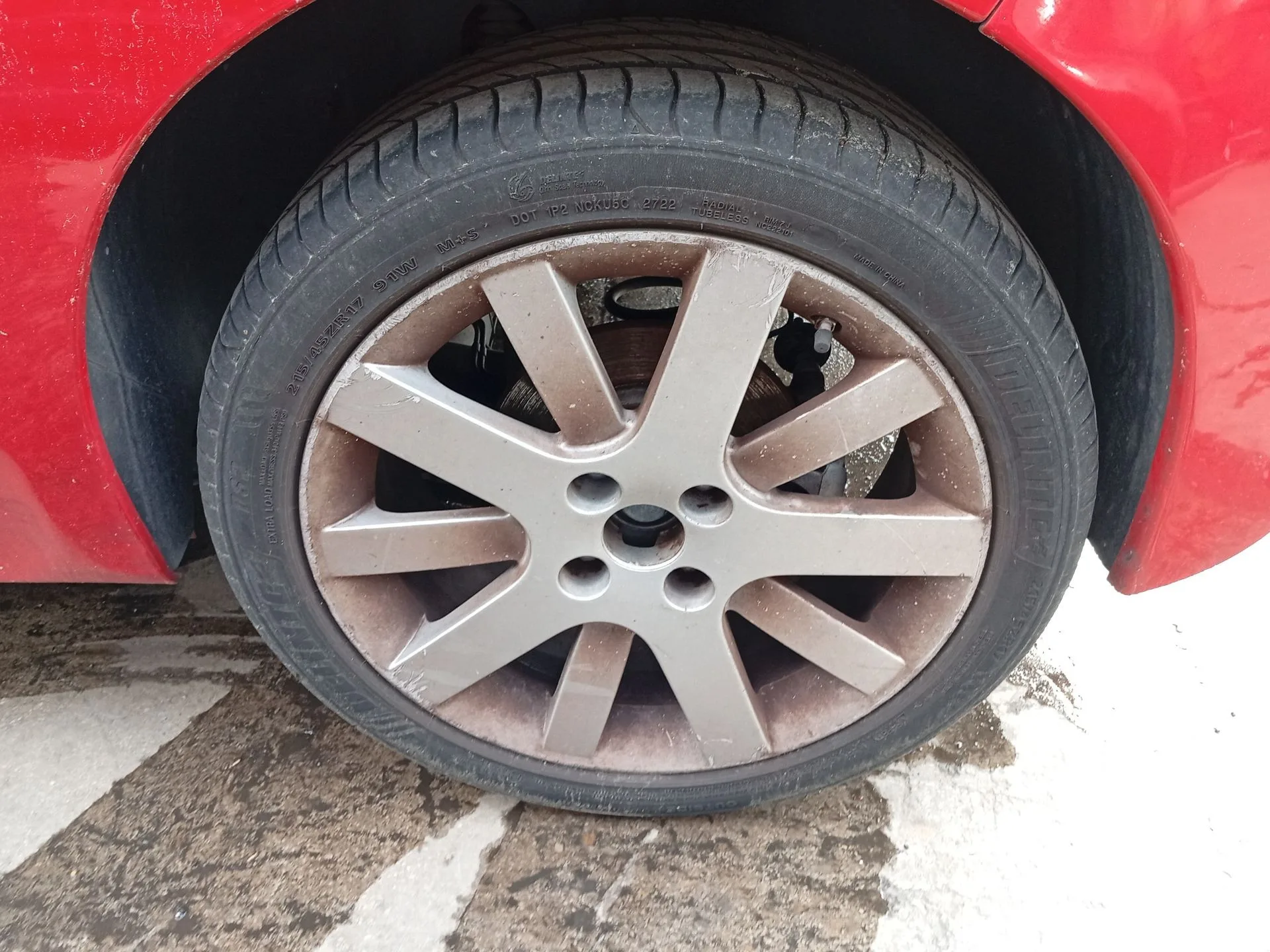 Mangueta Trasera Izquierda para Peugeot 207/207+ (Wa_, Wc_)