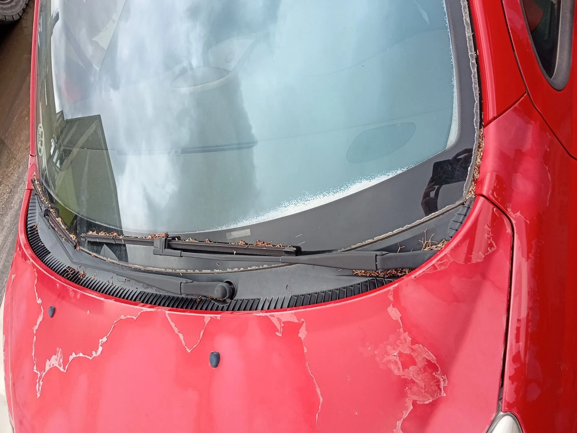 Torpedo para Peugeot 207/207+ (Wa_, Wc_)